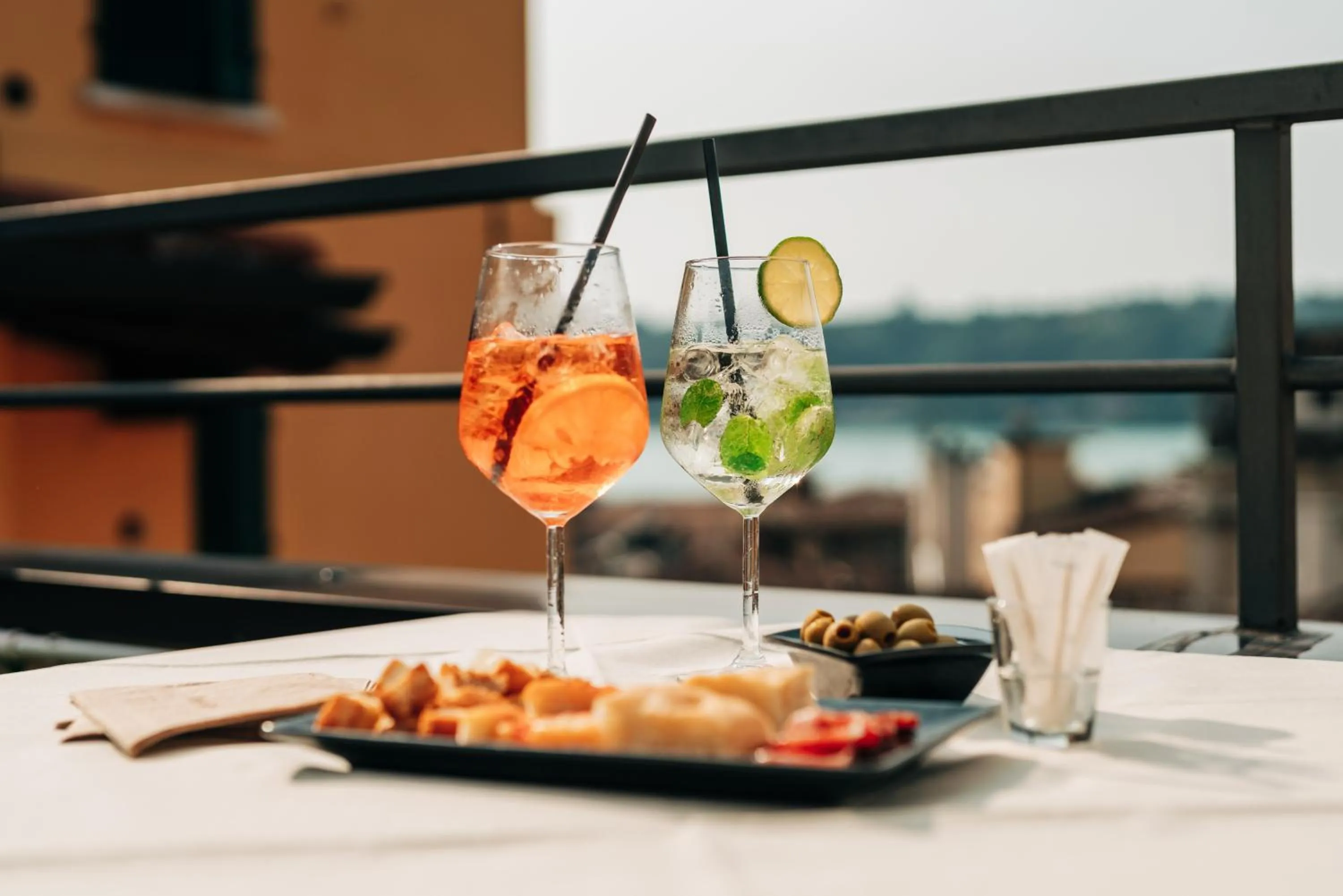 Balcony/Terrace in Hotel Eden Salò