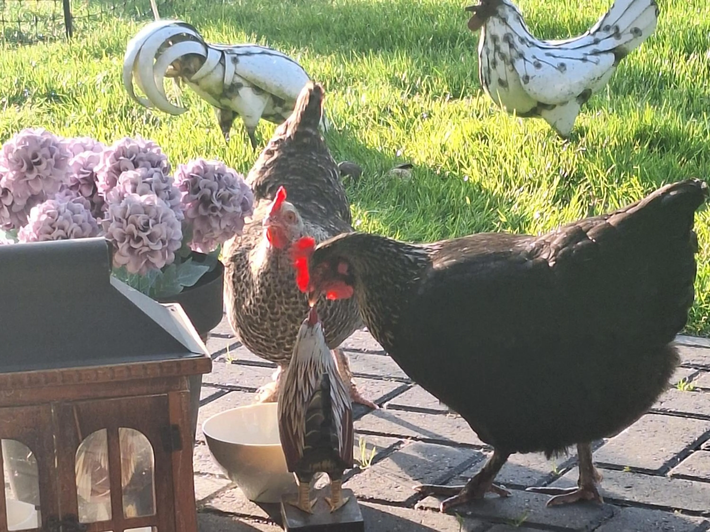 Het baken van Tholen