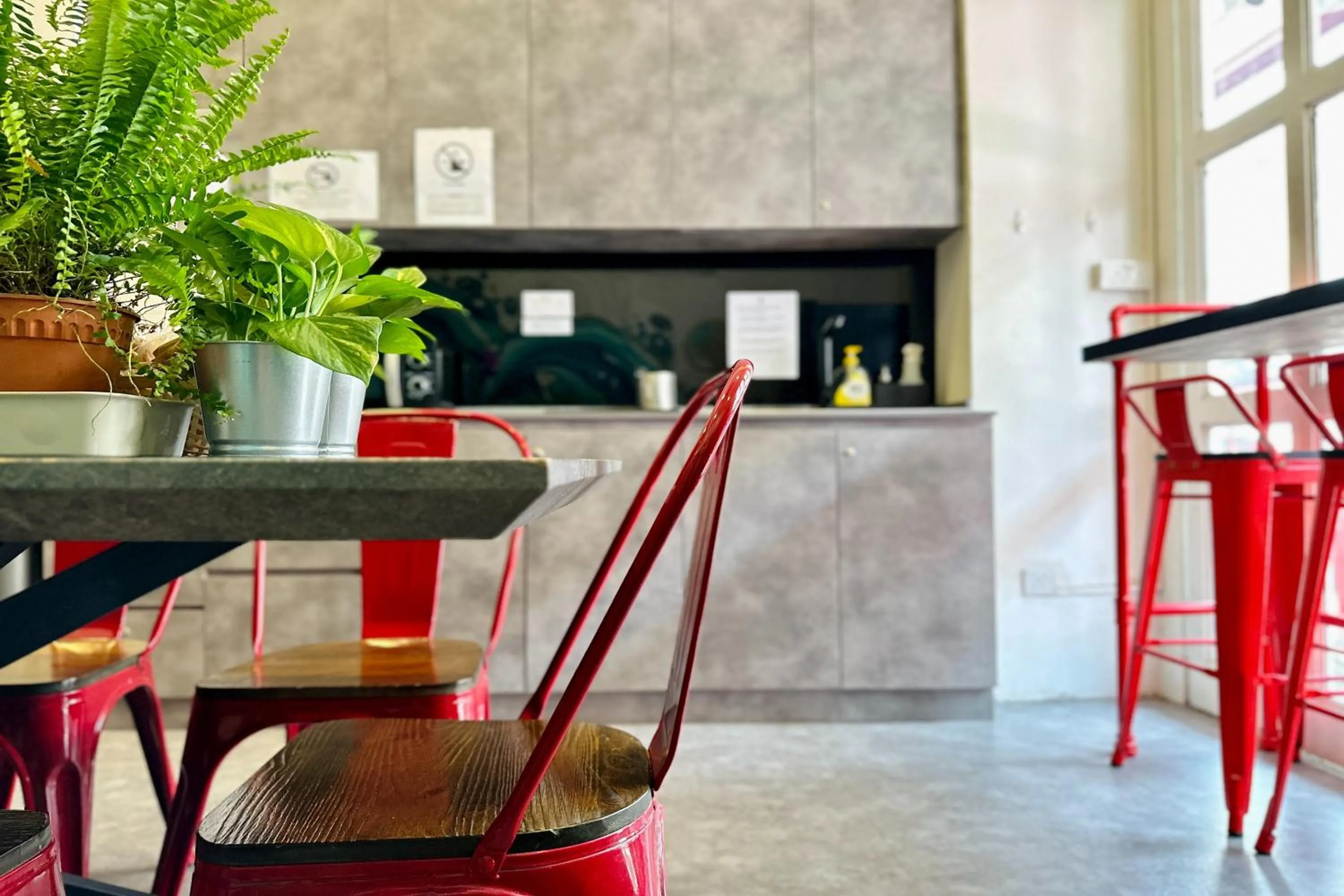 Lobby or reception in Rucksack Inn Temple Street