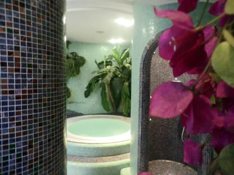 Spa and wellness centre/facilities in Hotel Bellavista