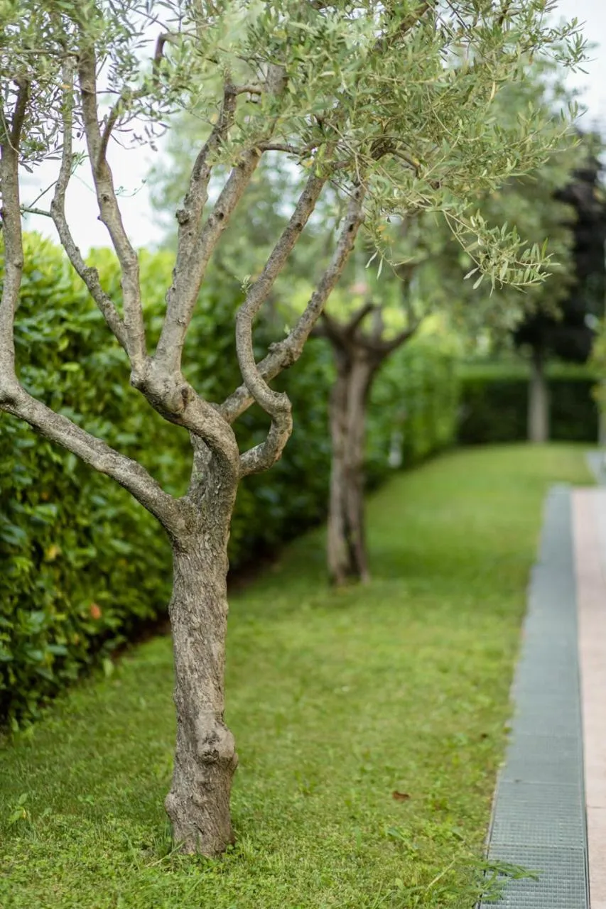 Garden in Hotel Arena