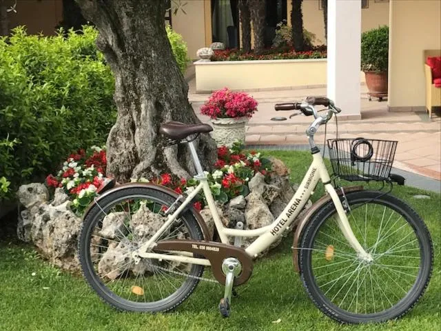 Activities in Hotel Arena