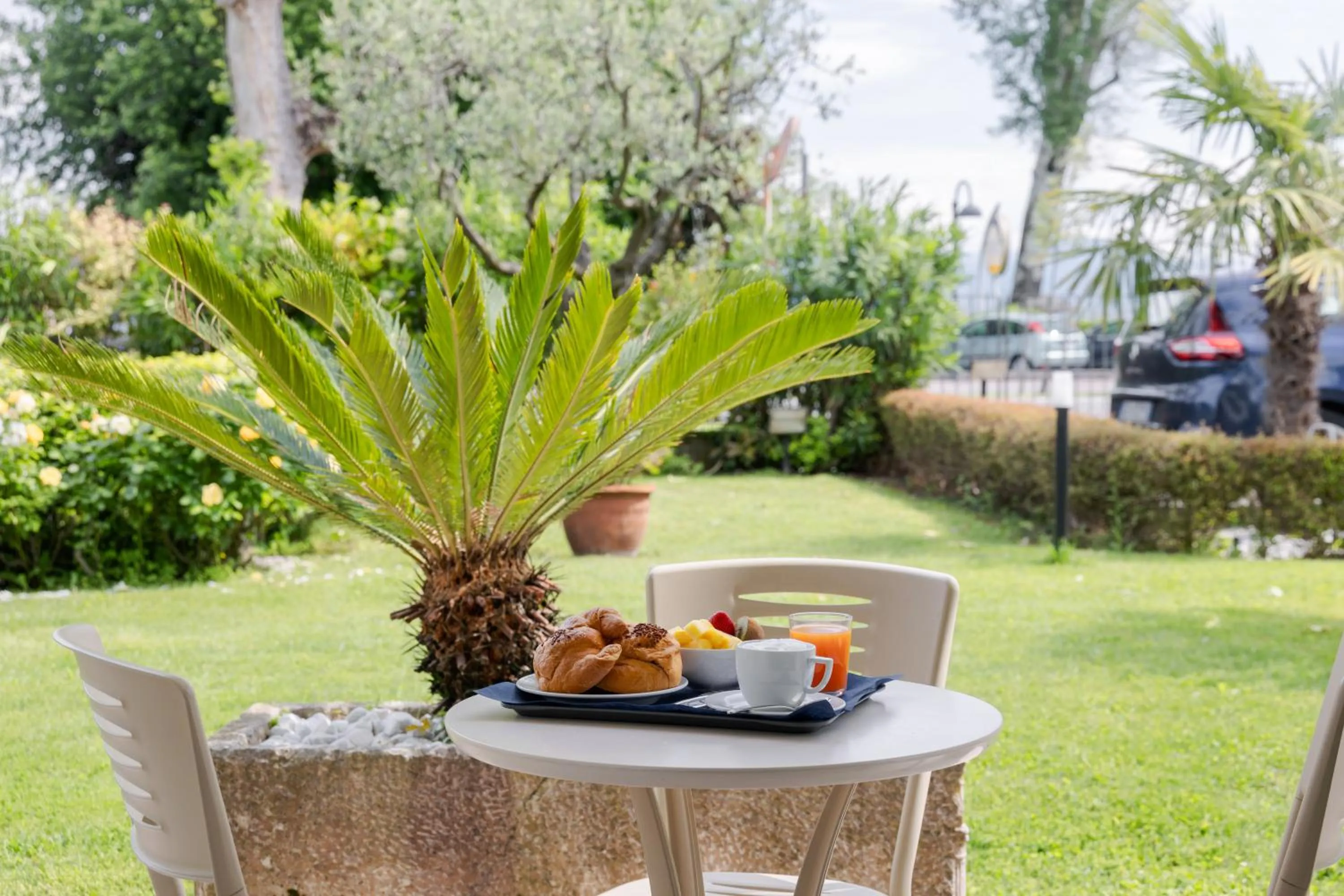 Garden in Hotel Arena