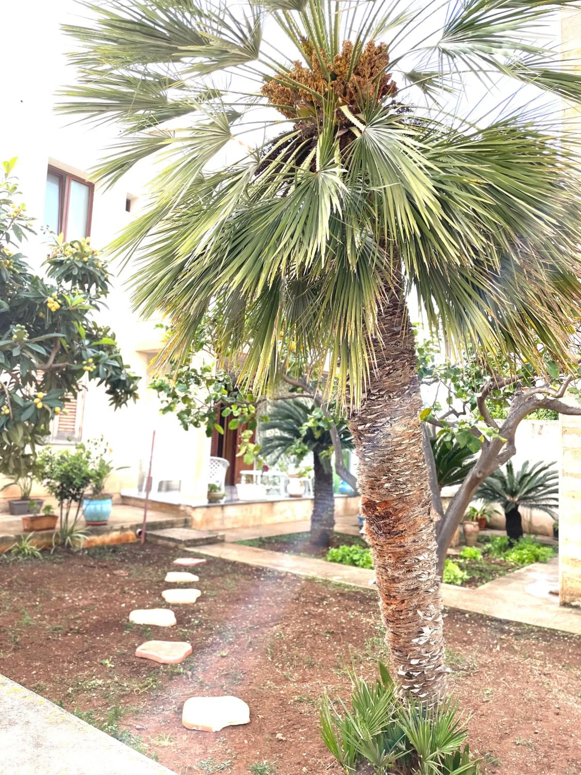 B&B La CYCAS