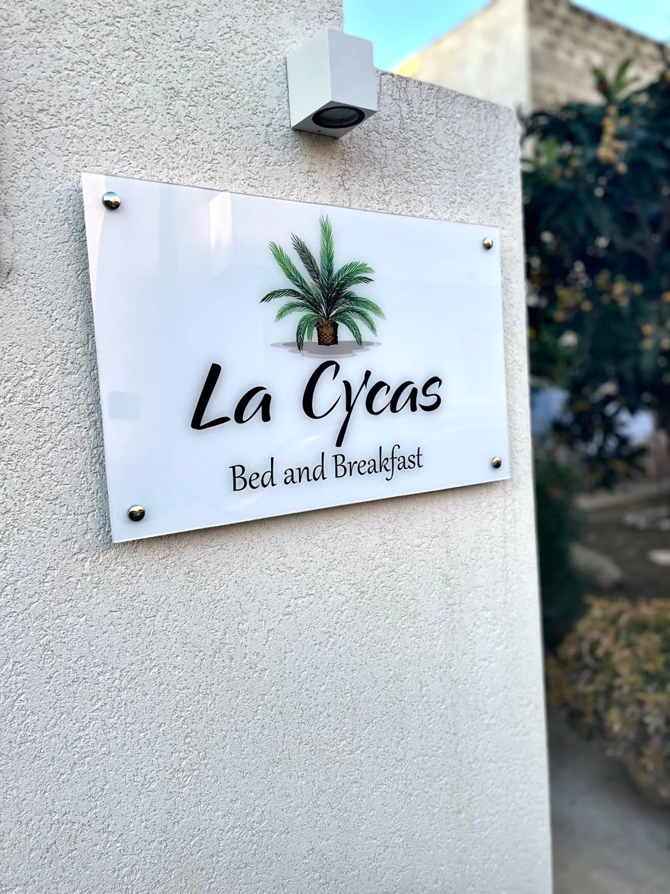 B&B La CYCAS