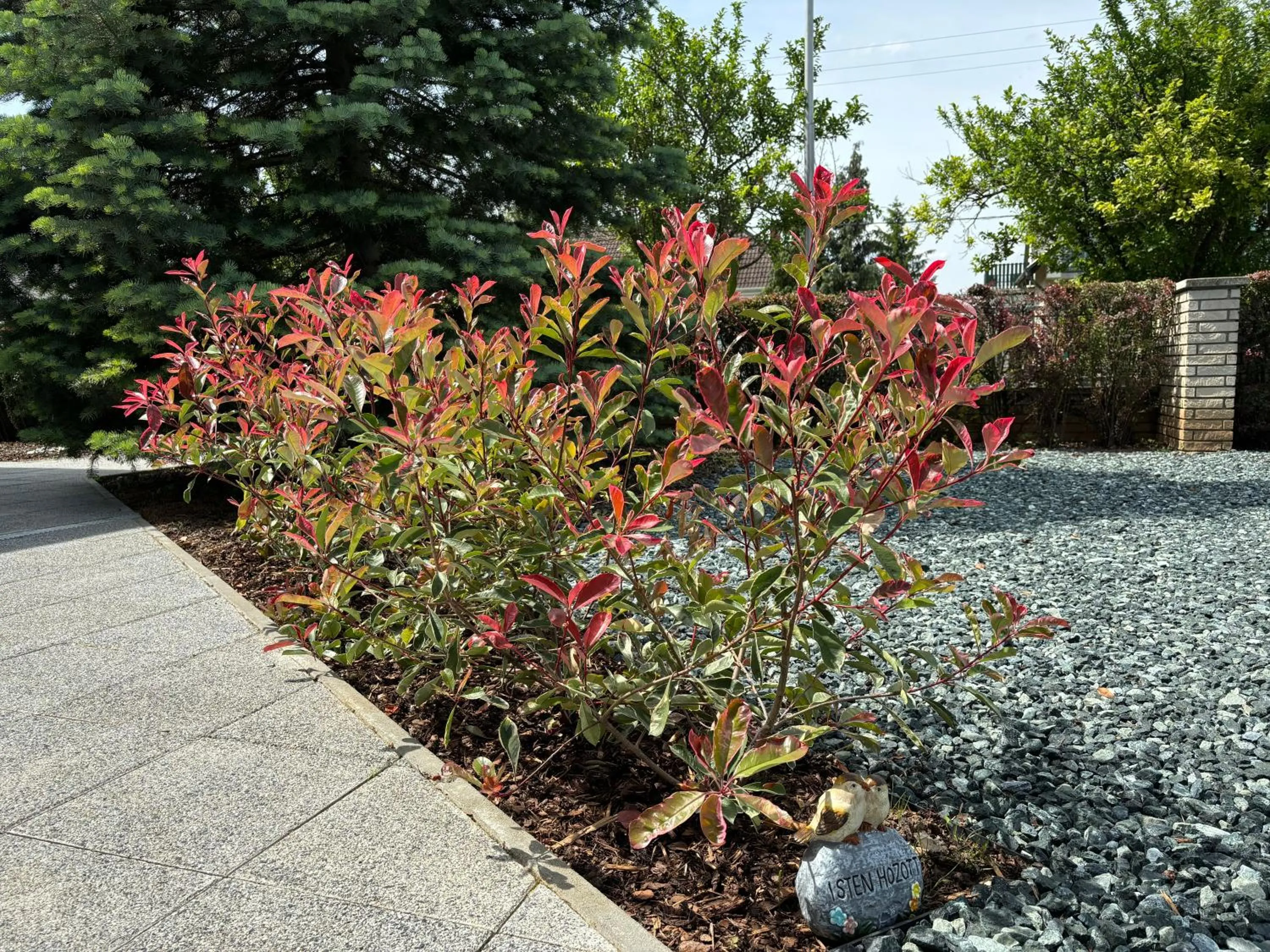 Inner courtyard view in Villa Tara Bük