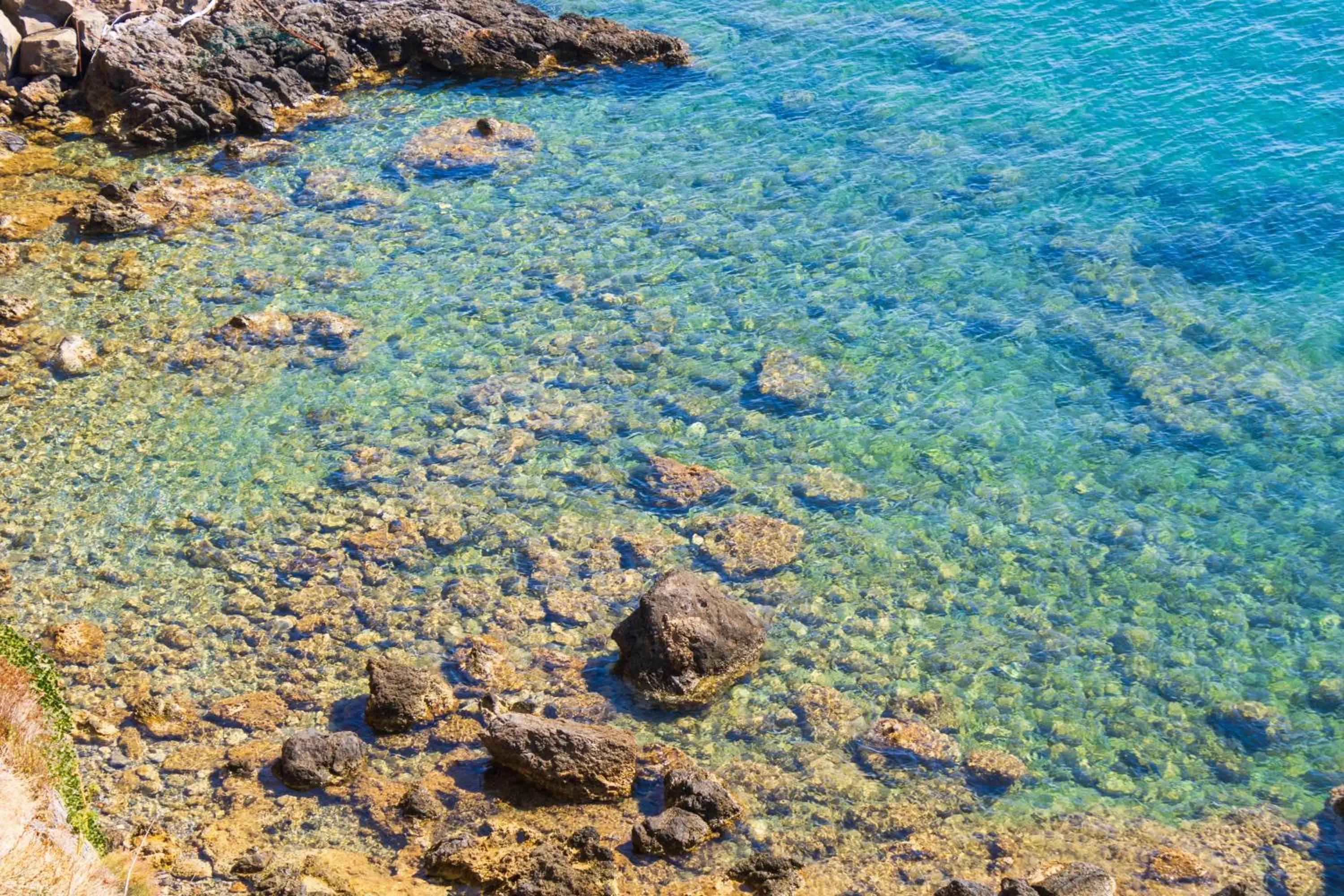 Natural landscape in Hotel Il Telamonio