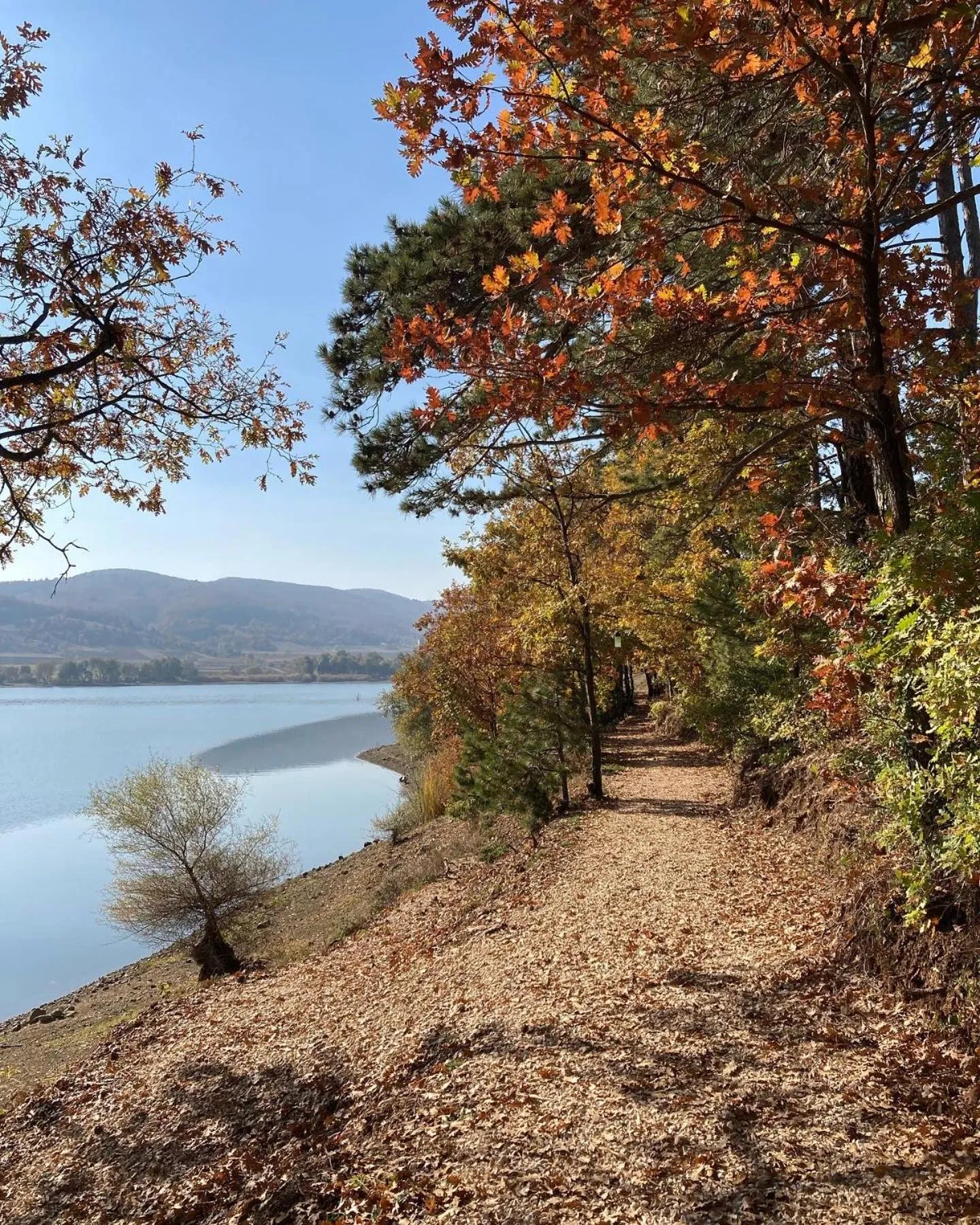Day in Nefes Dağyenice Doğada