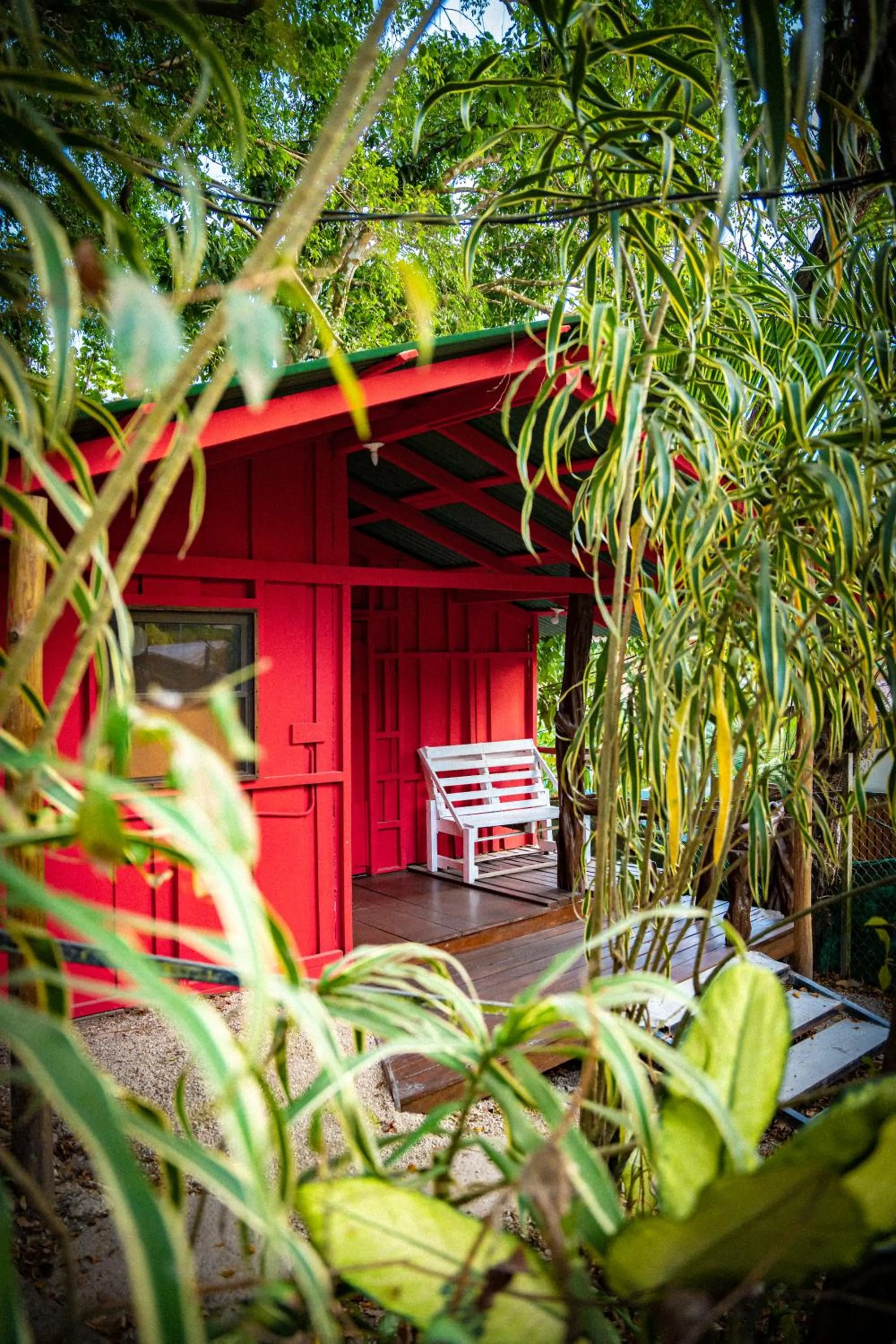 Family Room in Pura Vida Mini Hostel Santa Teresa