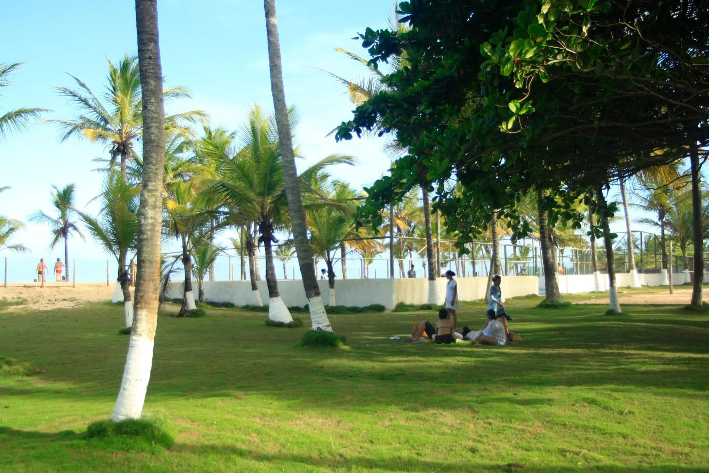 Garden in Mar & Sol Praia Hotel