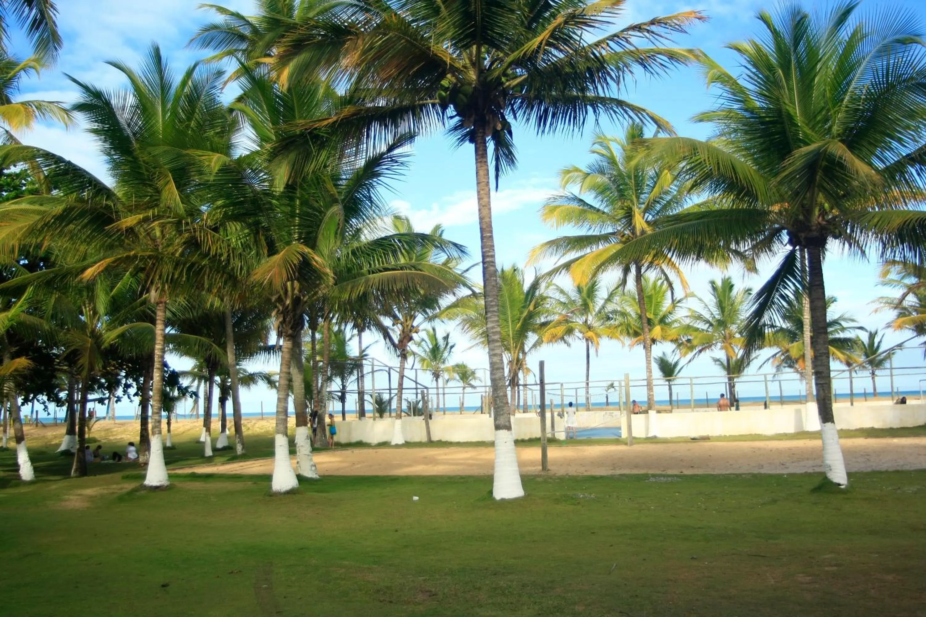 Garden in Mar & Sol Praia Hotel