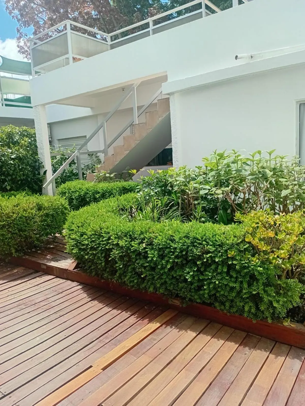 Garden in Hotel Centenario
