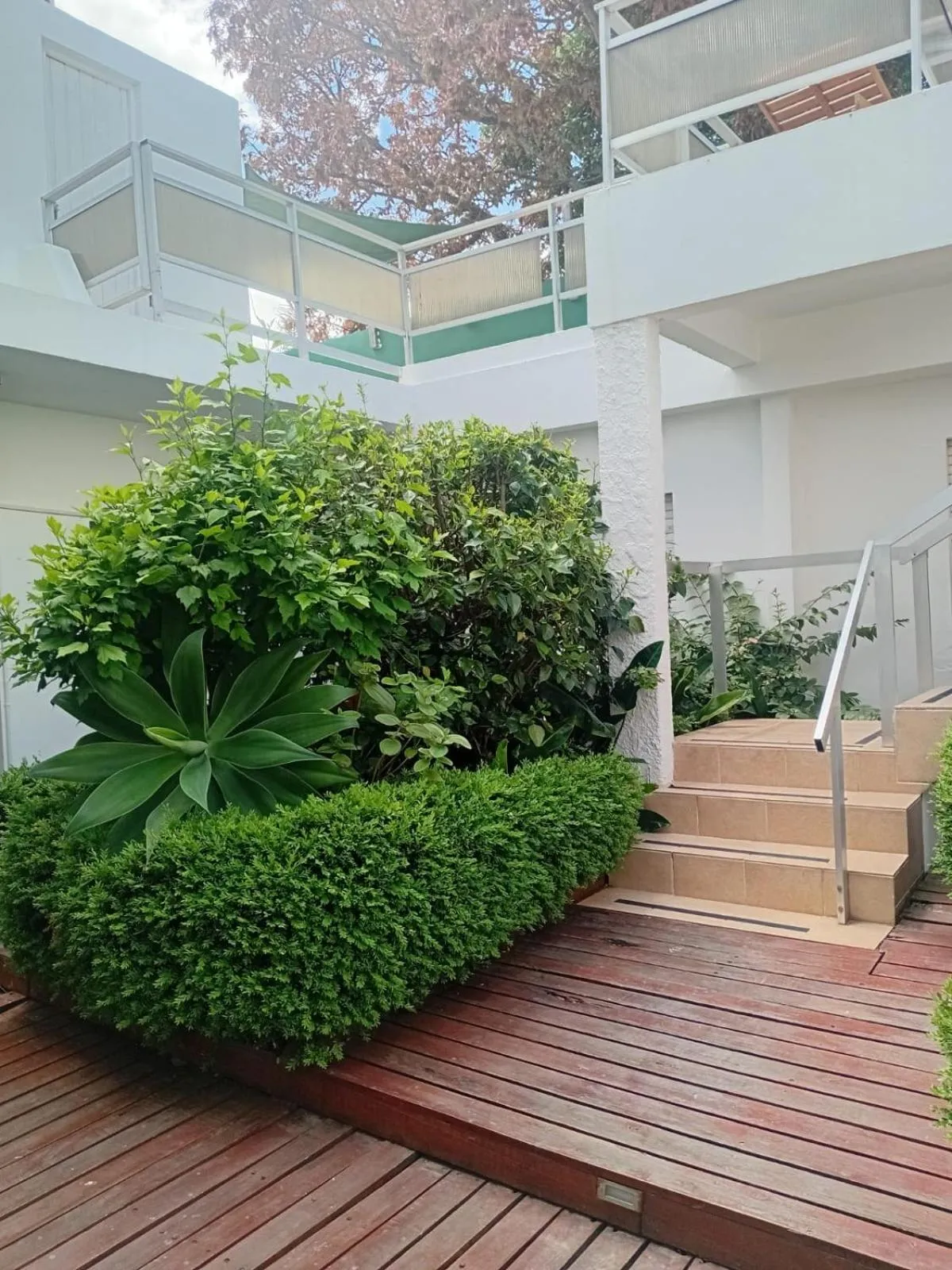 Garden in Hotel Centenario