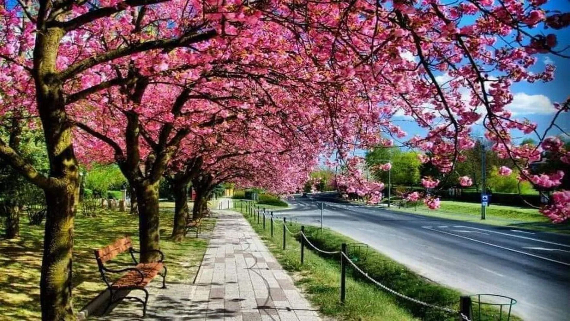 Street view in Arany Apartmanház Zalagyöngye