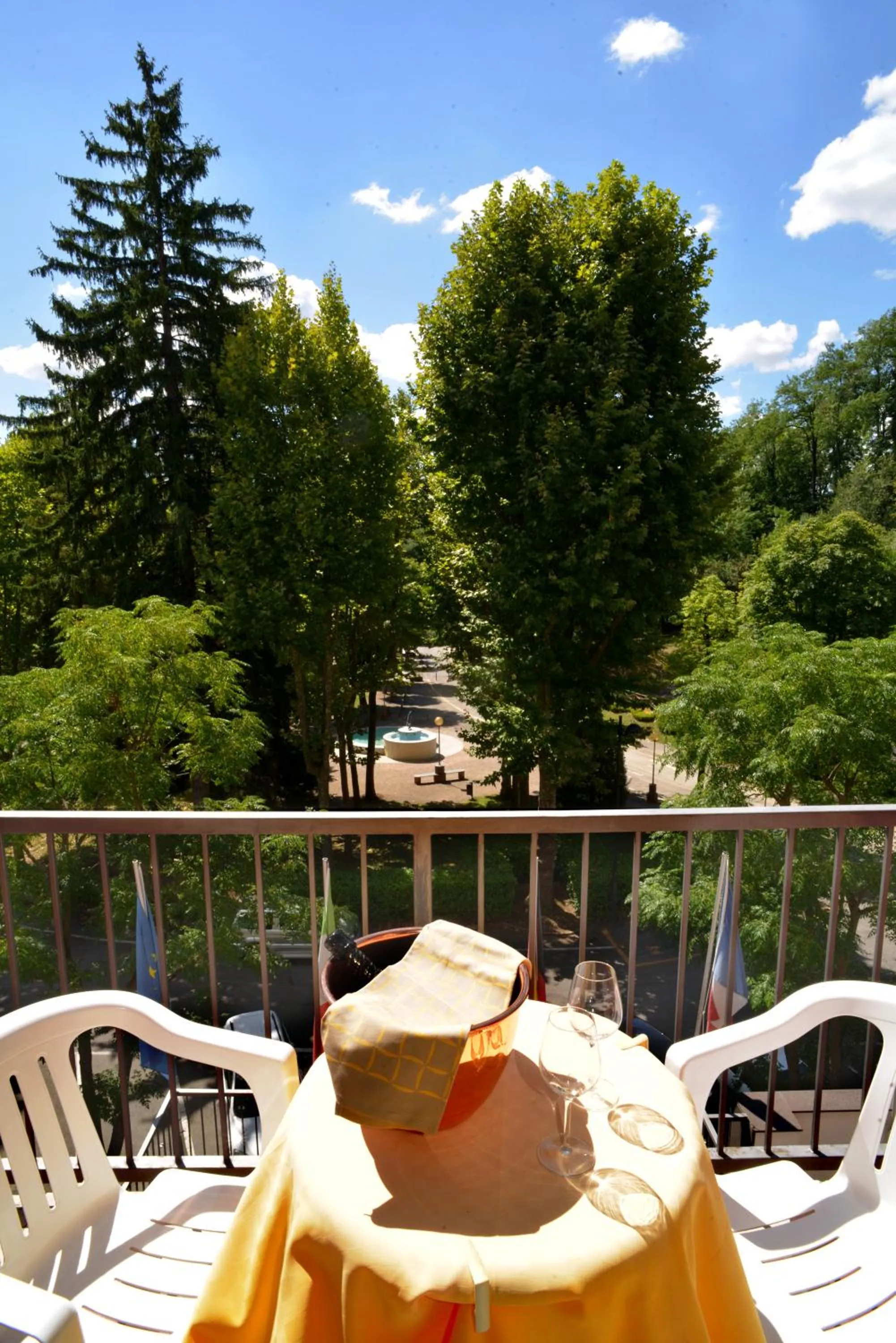 Balcony/Terrace in Hotel Salus