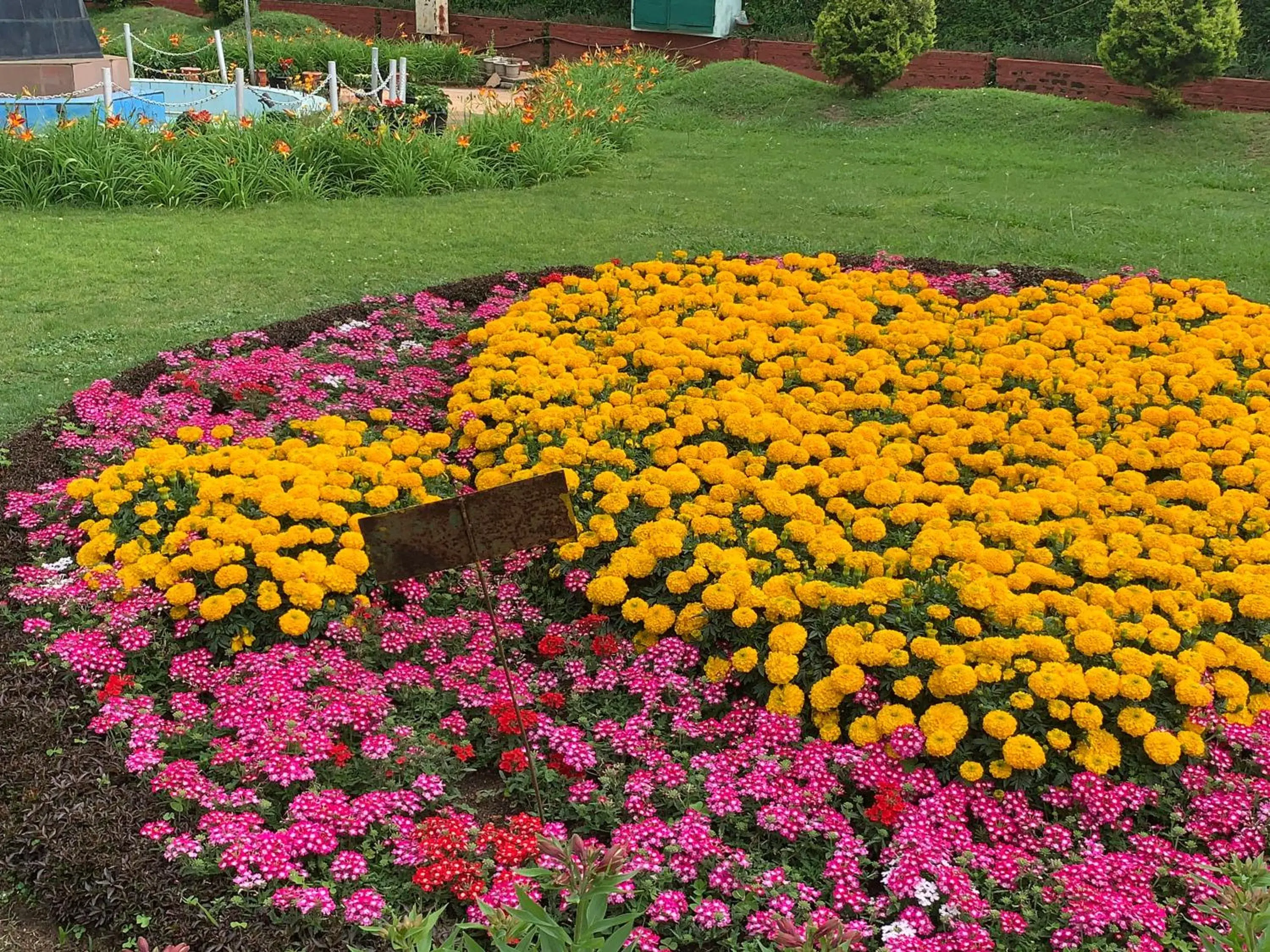 Quiet street view in Kodai Pinetree Residency Quiet street view in Kodai Pinetree Residency