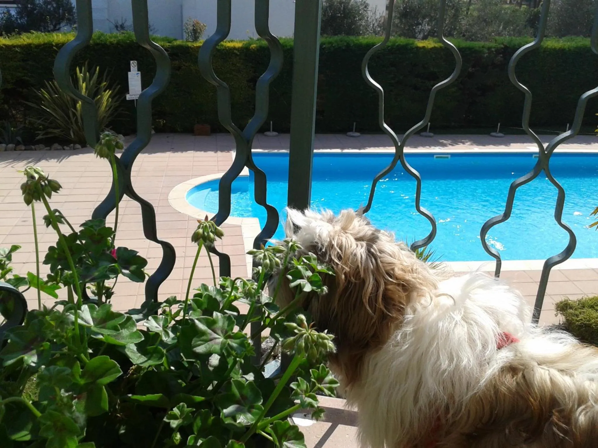 Balcony/Terrace in Hotel Fornaci