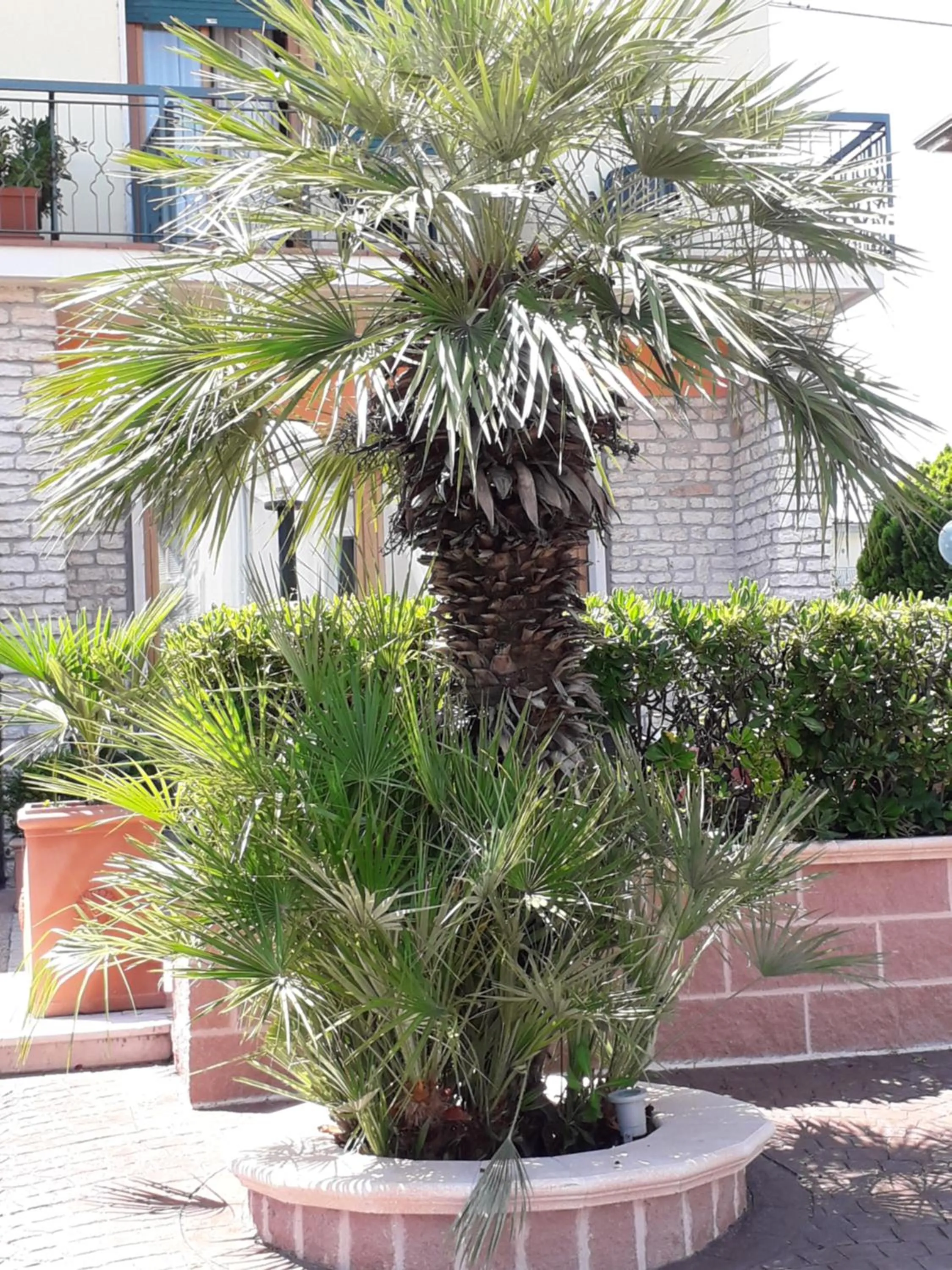 Facade/entrance in Hotel Fornaci