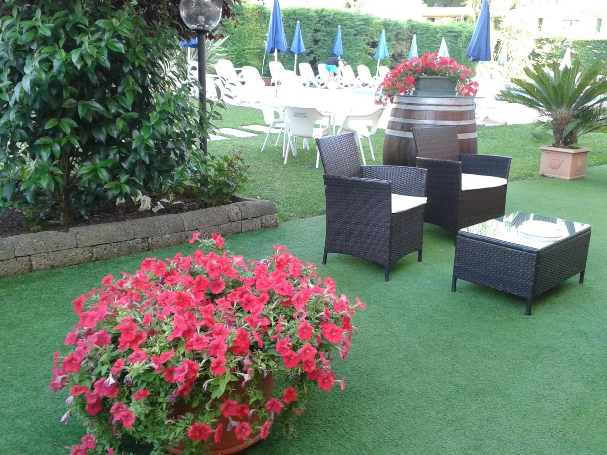 Garden in Hotel Fornaci