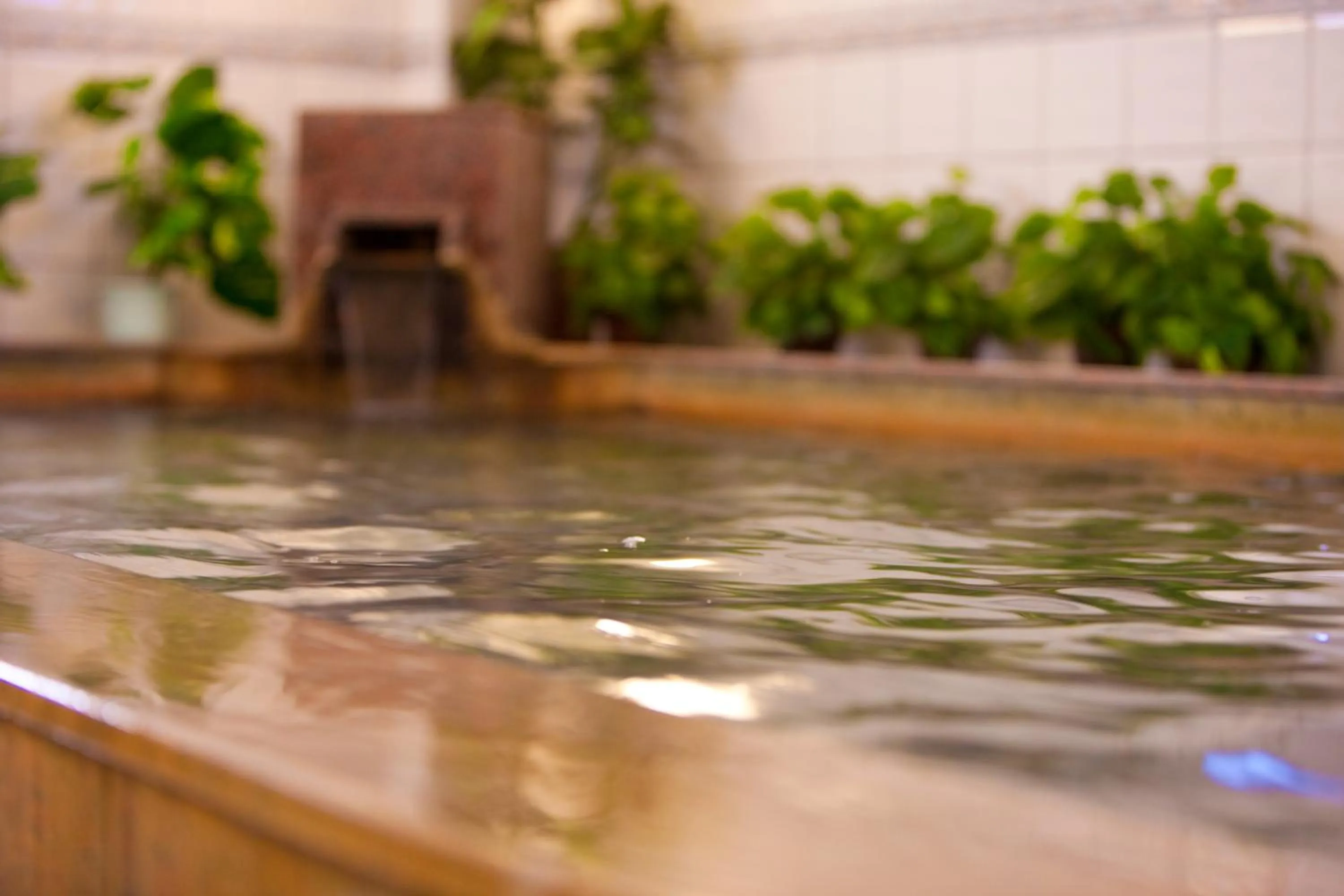 Hot Spring Bath in Beppu Station Hotel