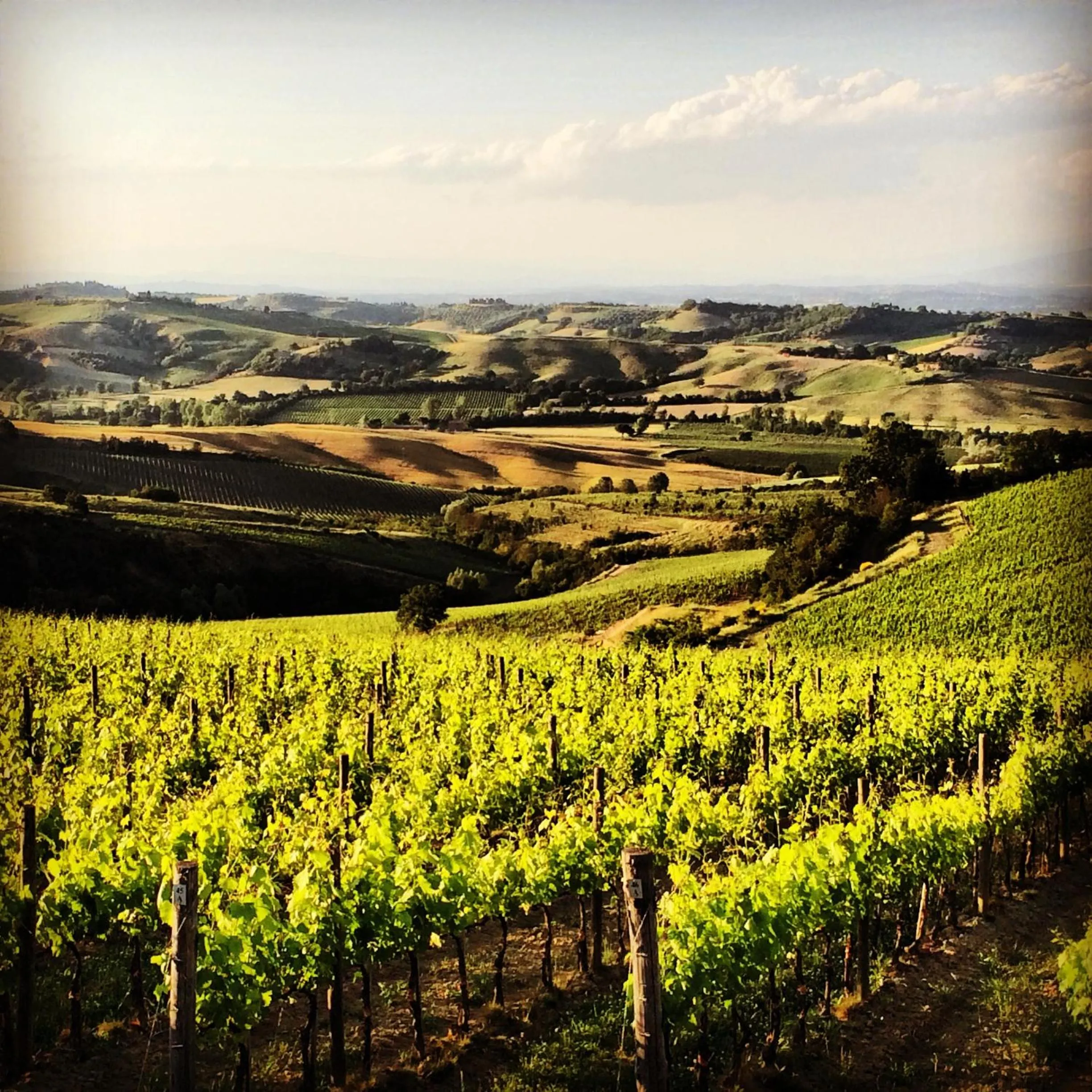 Area and facilities in Hotel Del Buono Wellness & Medical Spa