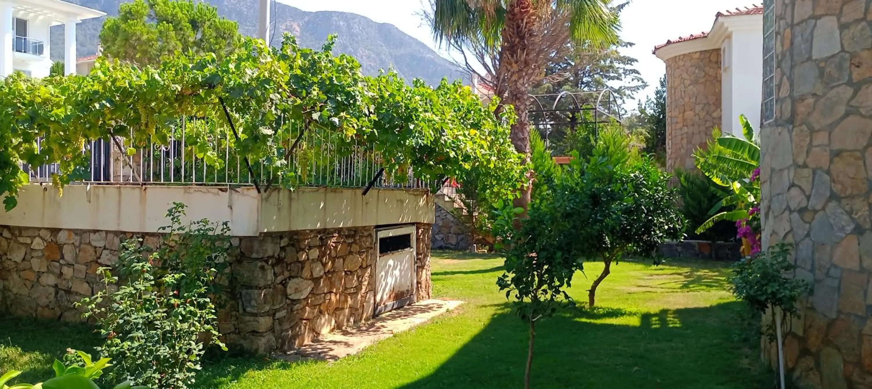 Day in VILLA PALM
