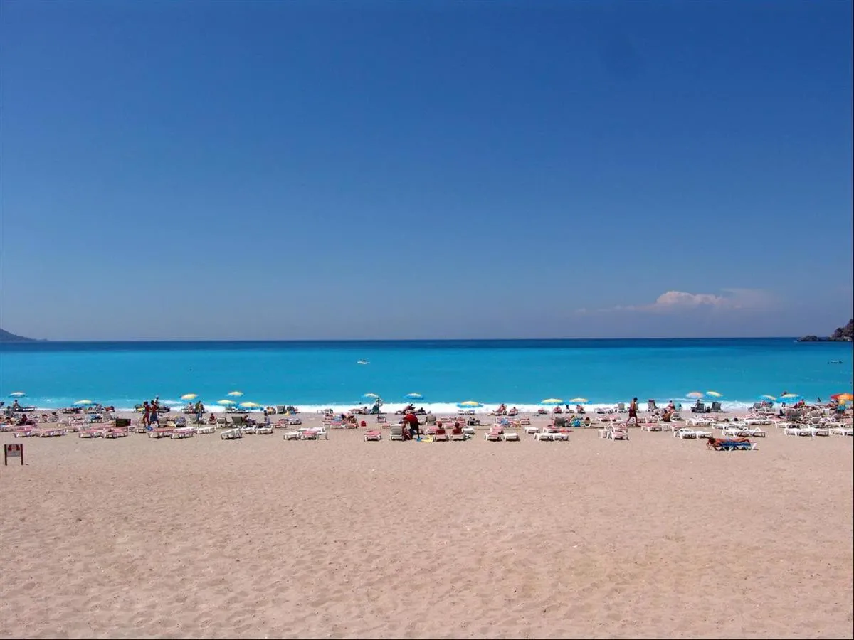 Day in VILLA PALM