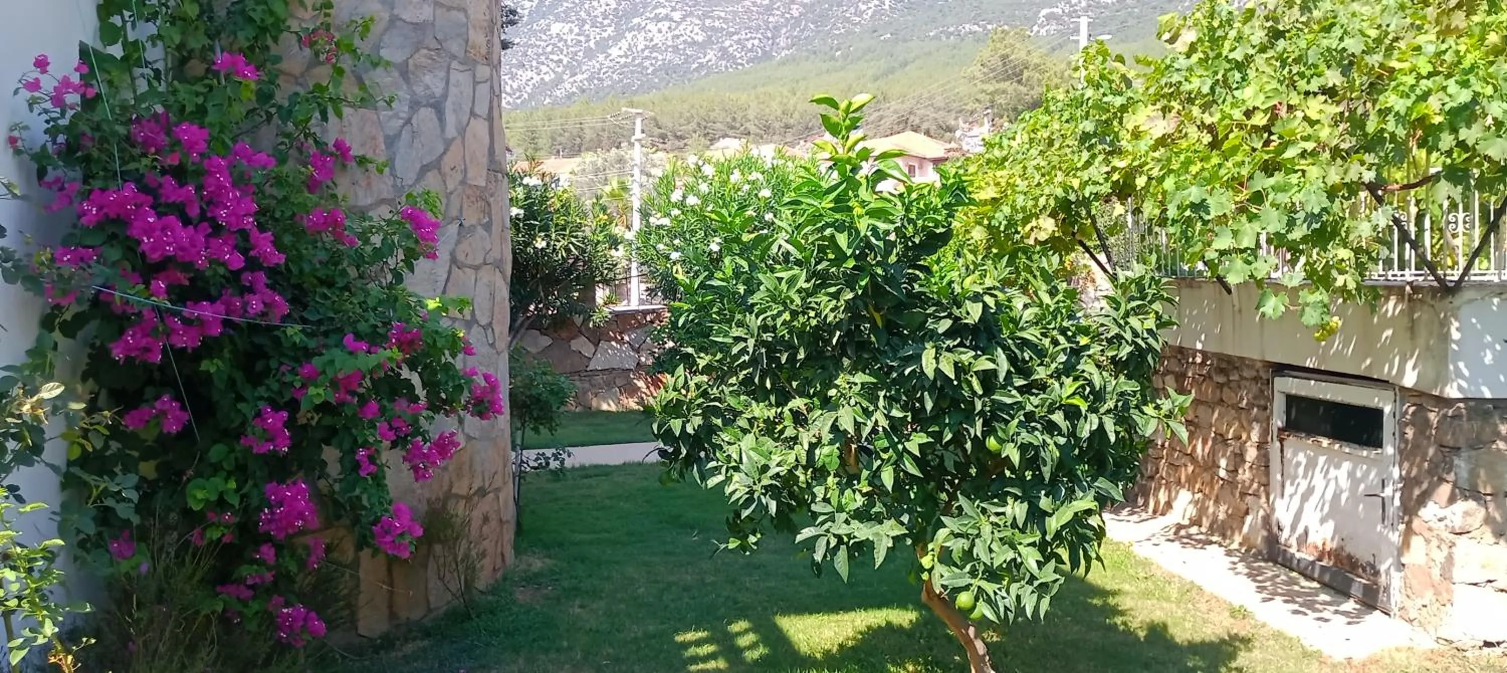 Day in VILLA PALM