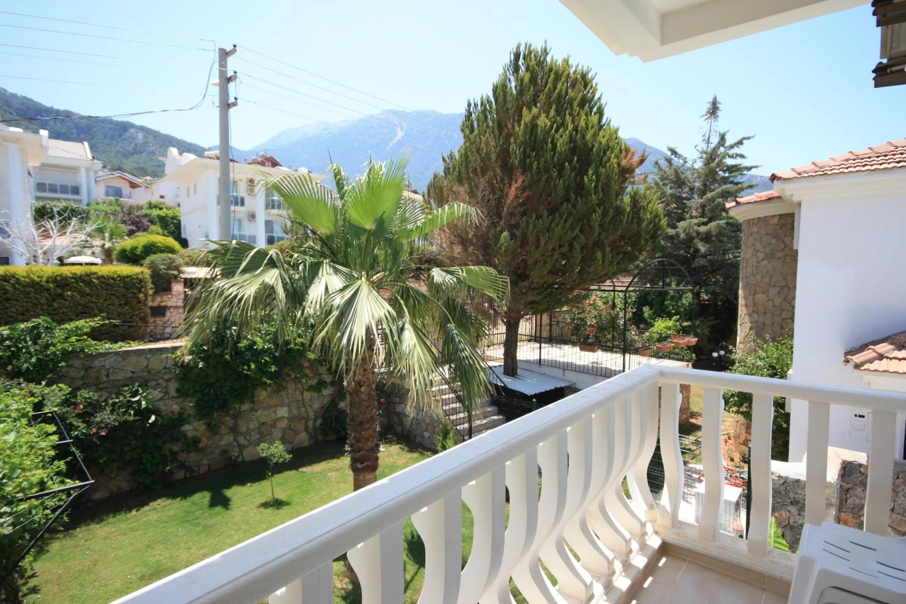 Day in VILLA PALM