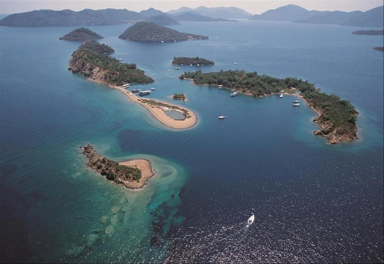 Beach in VILLA PALM