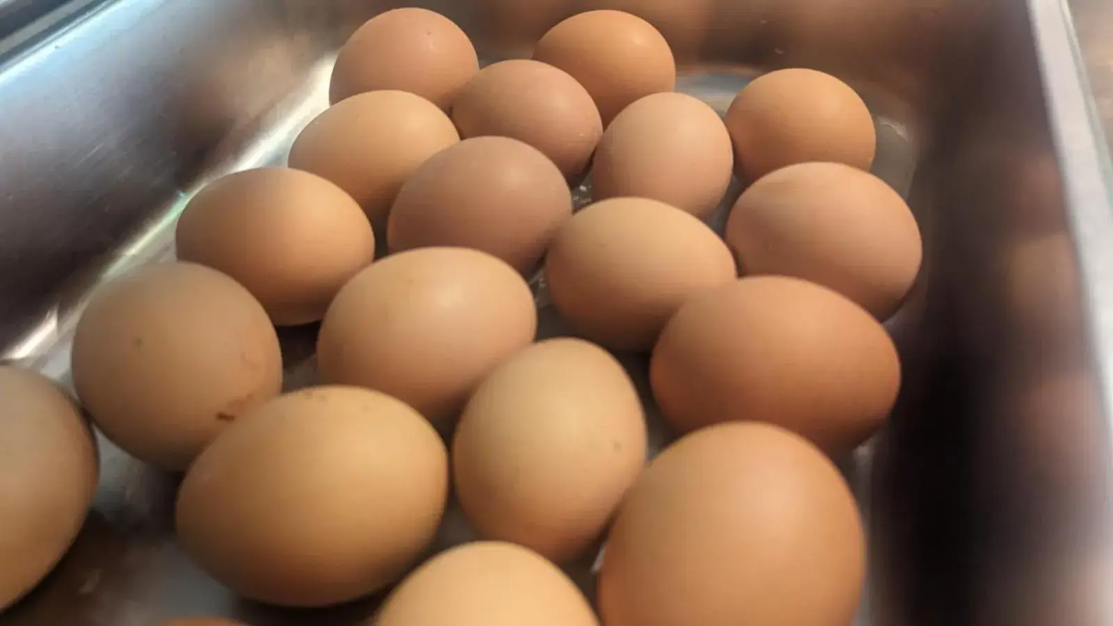 Breakfast in Pearl Hotel Breakfast in Pearl Hotel