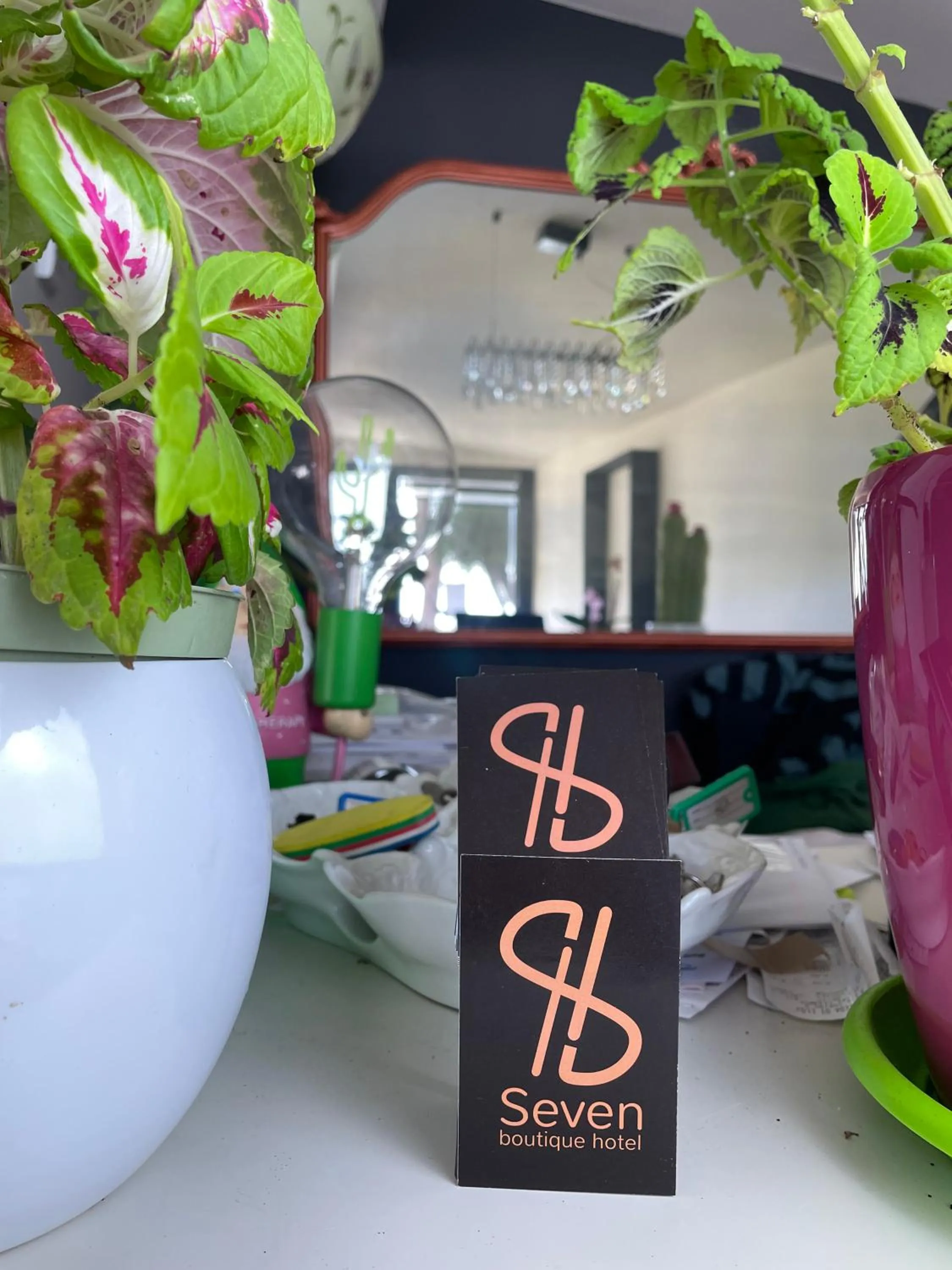 Seven boutique hotel