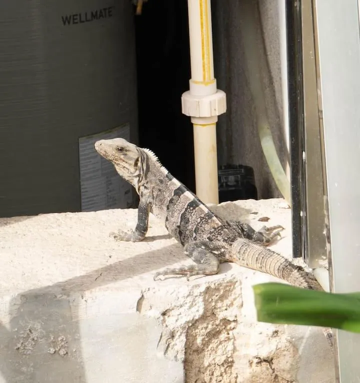 Day in Villas Amanecer by Andiani Travel