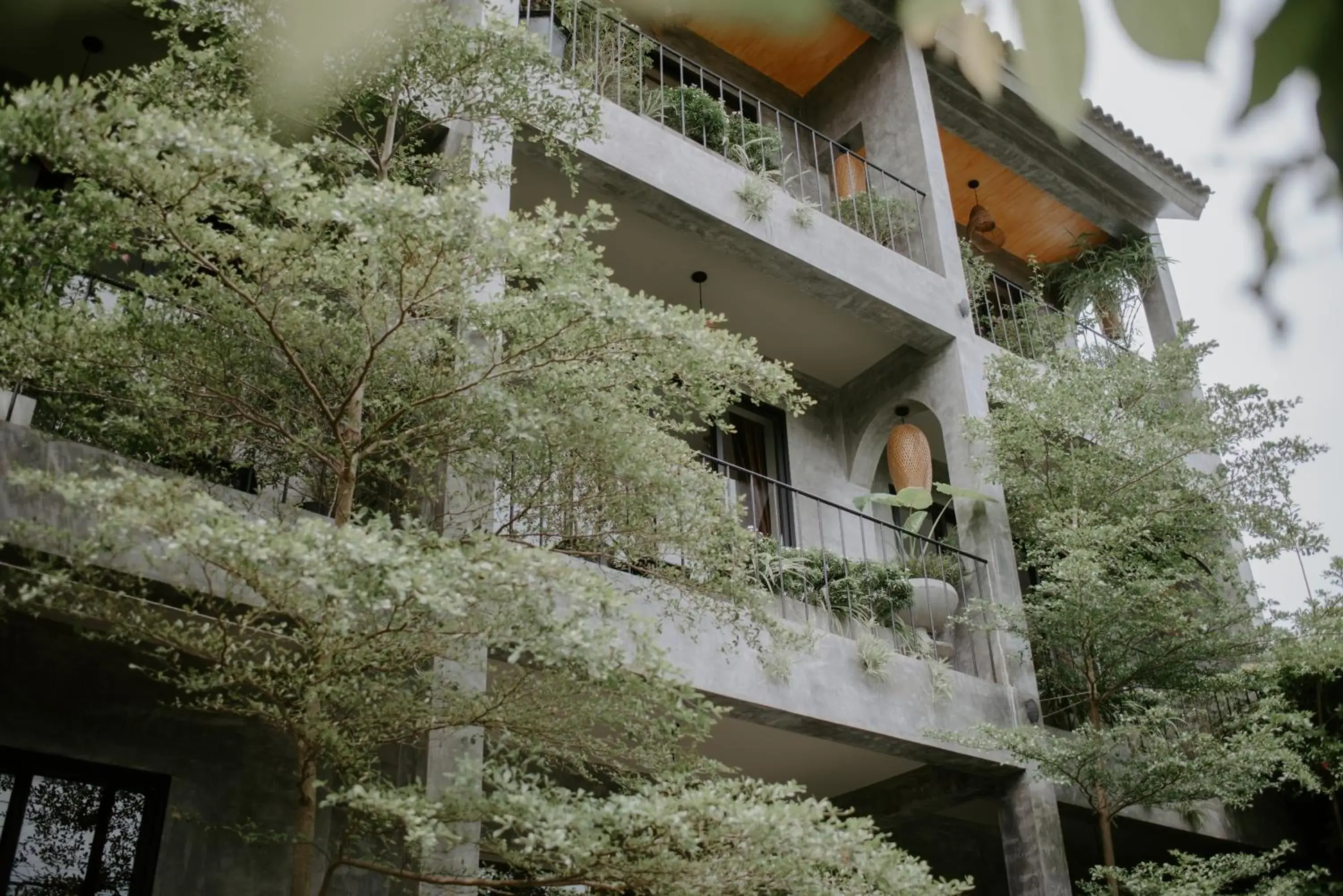 Property building in Nam An Mama Villa Hoi An Property building in Nam An Mama Villa Hoi An