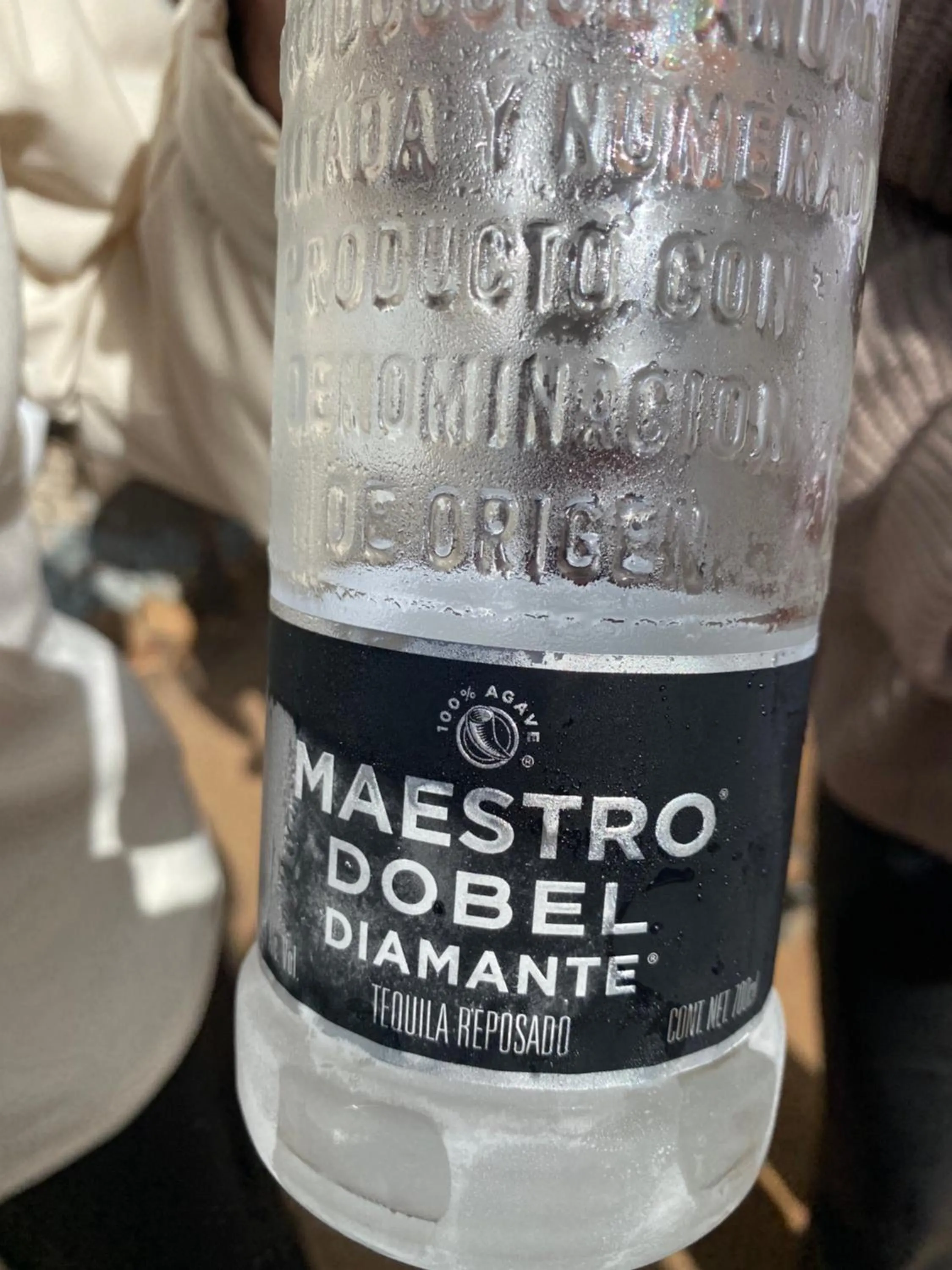 Entertainment in Ecovino Valle de Guadalupe