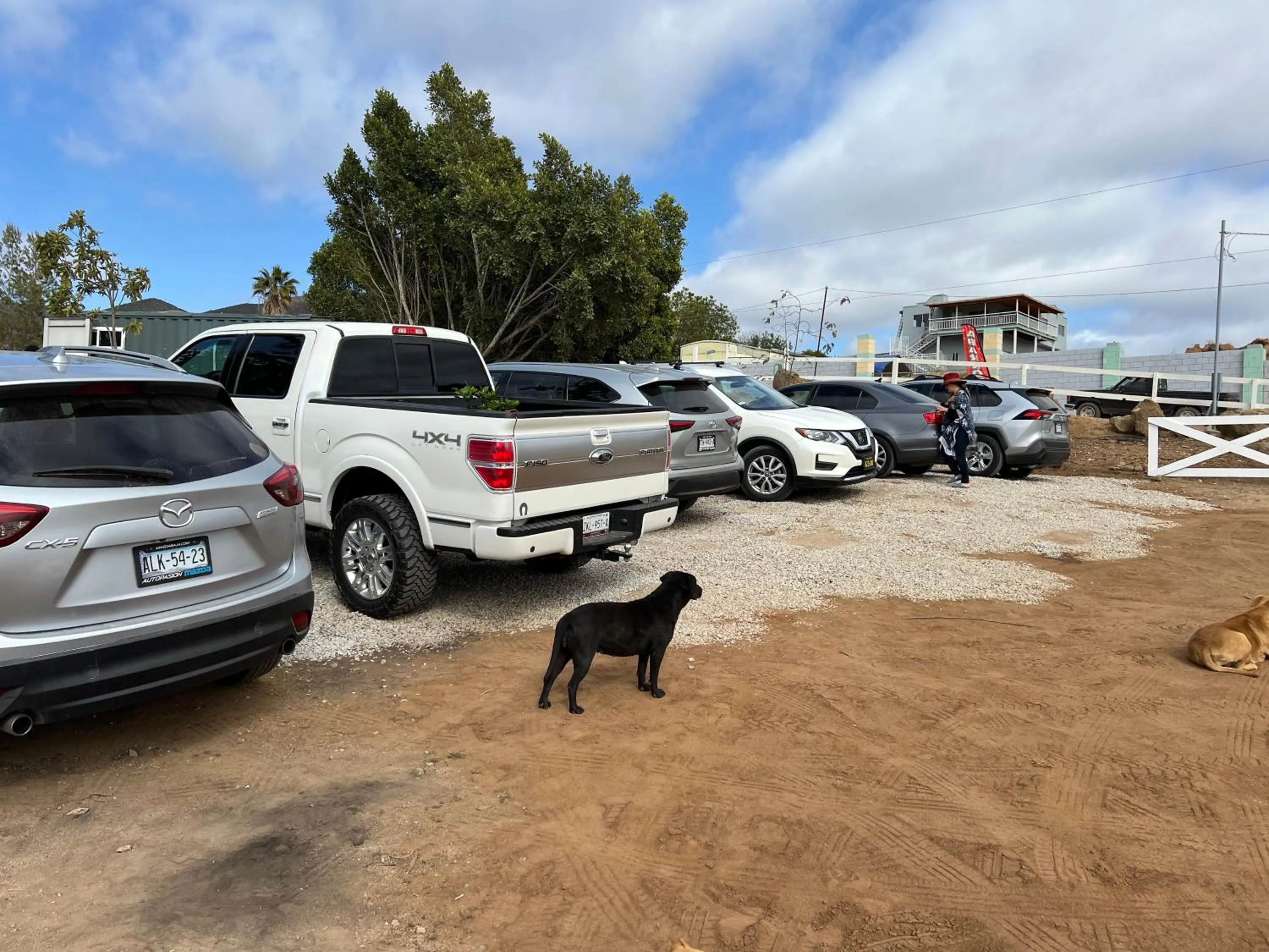 Pets in Ecovino Valle de Guadalupe