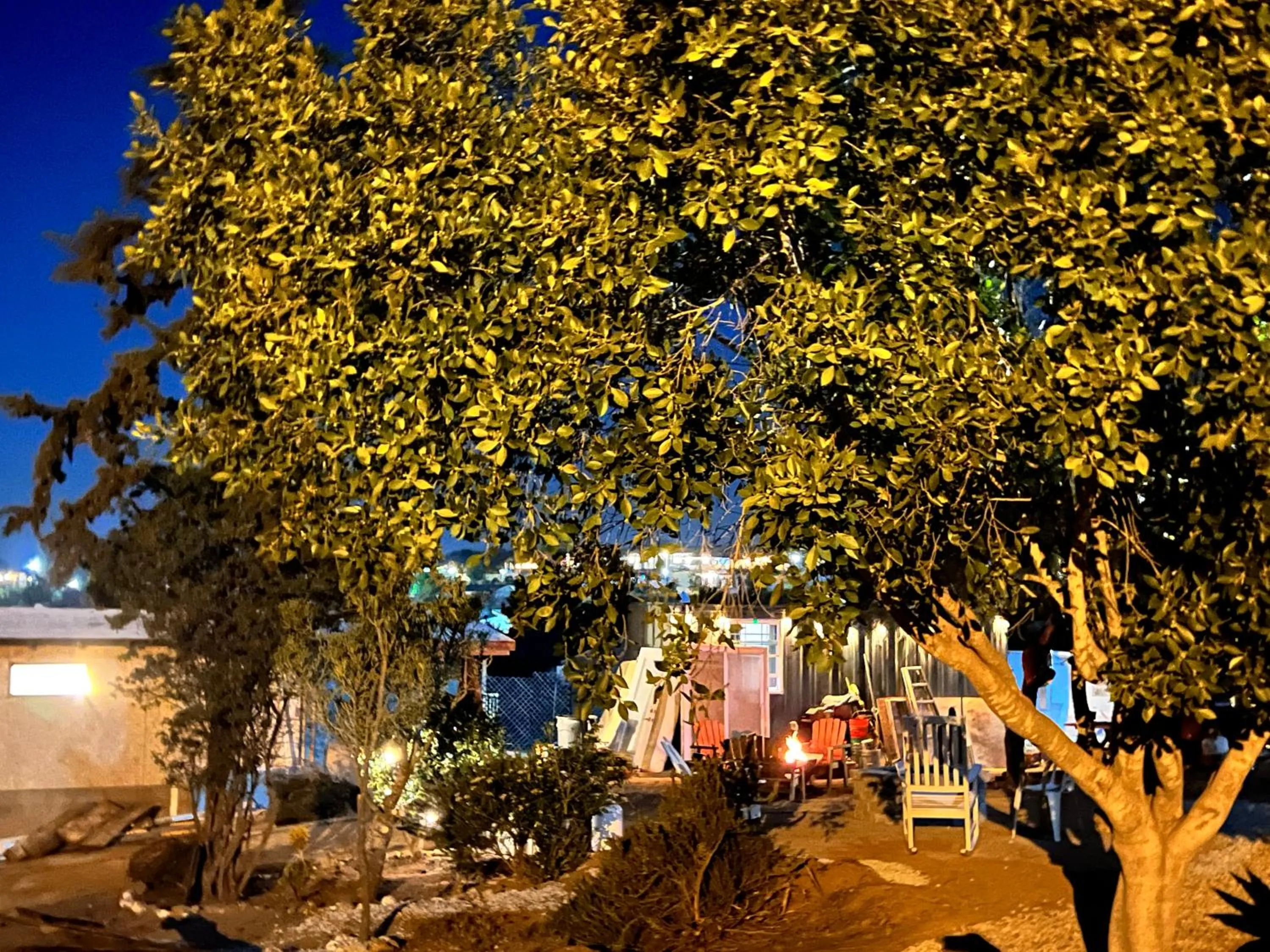 Garden in Ecovino Valle de Guadalupe