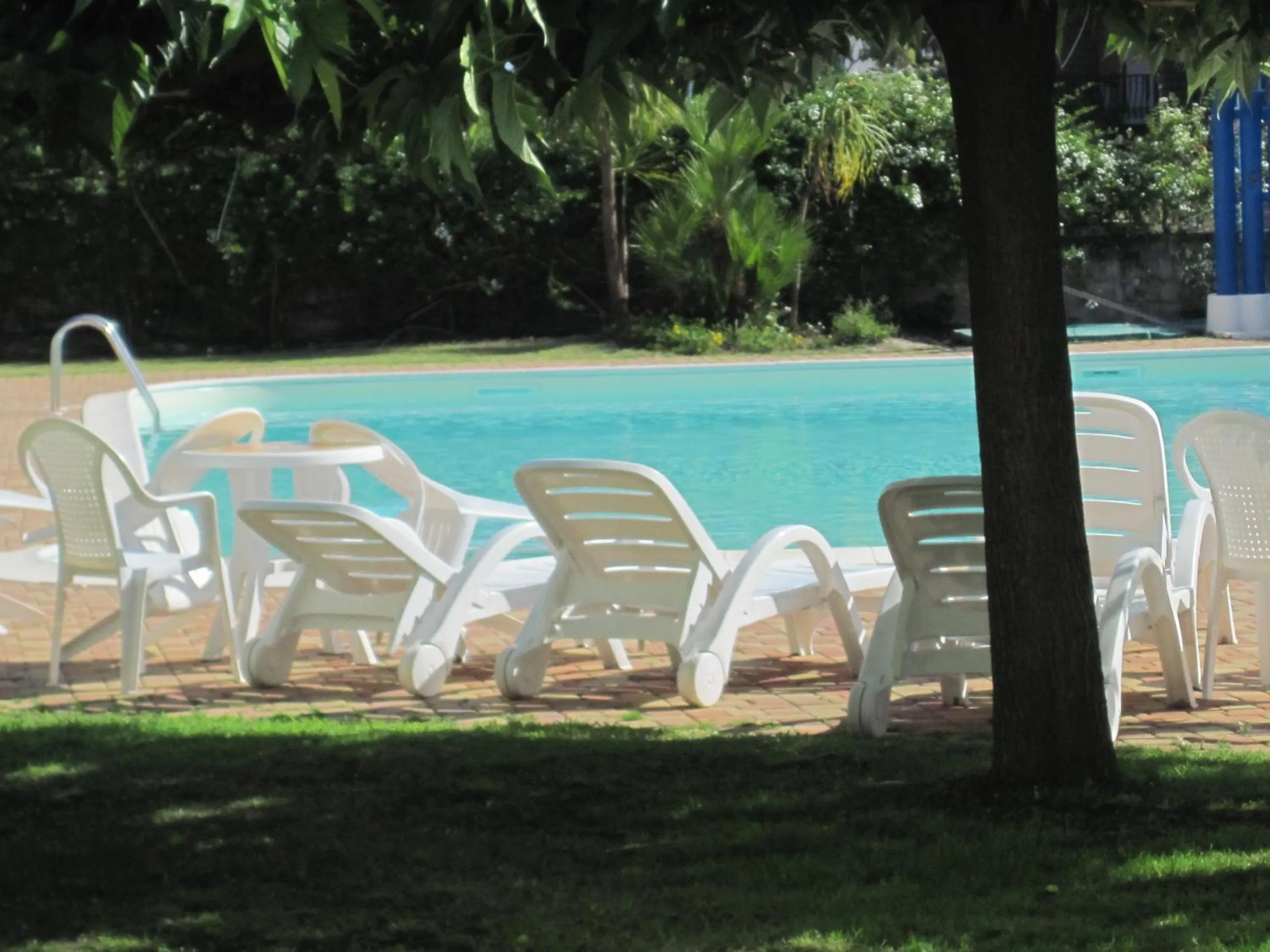 Swimming pool in Hotel Isola Rossa