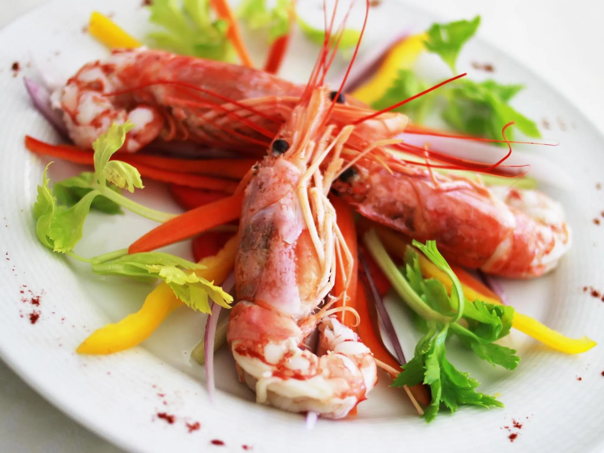 Food and drinks in Hotel La Pigna