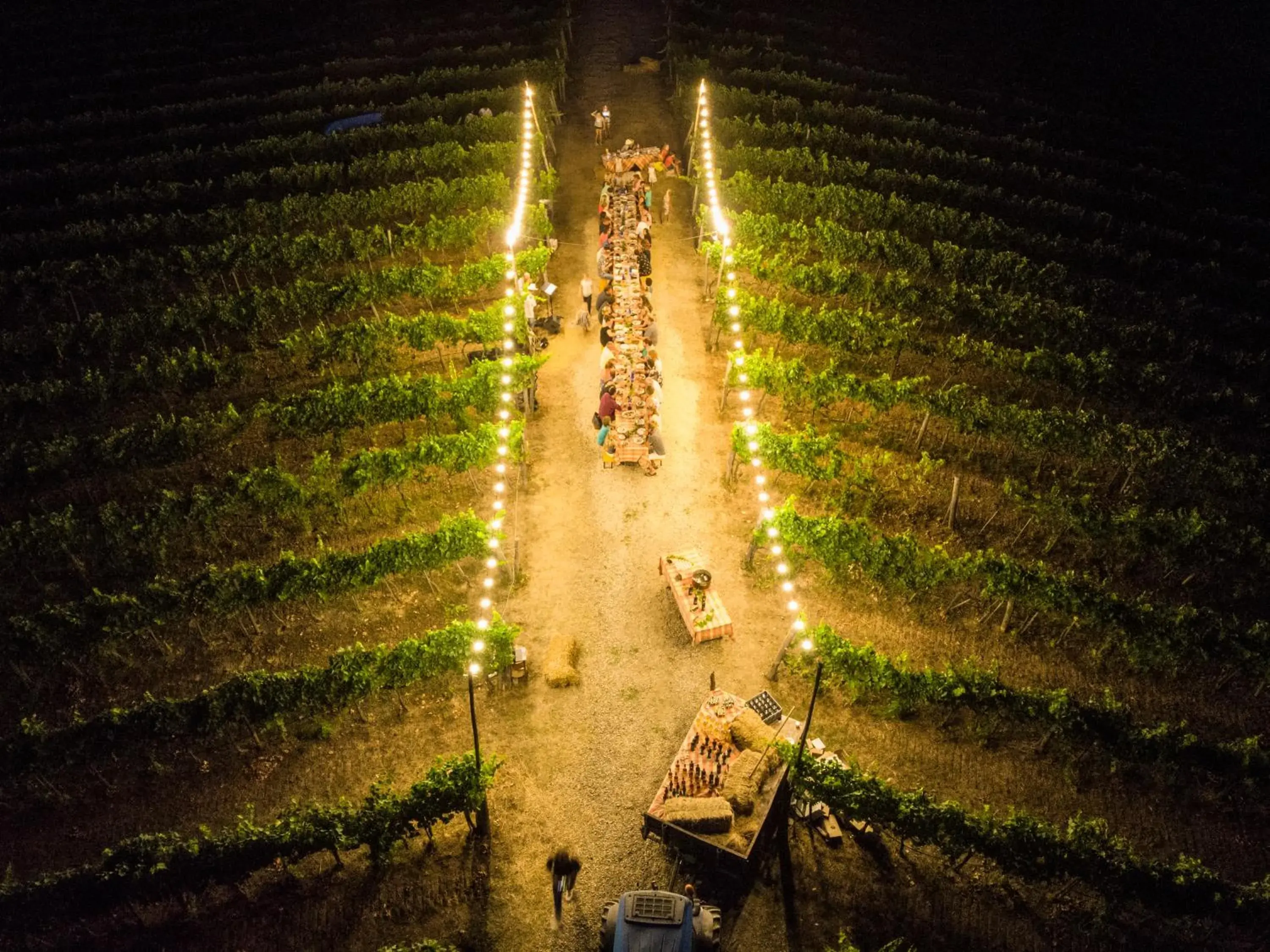 Restaurant/places to eat in Palagina la dimora Restaurant/places to eat in Palagina la dimora