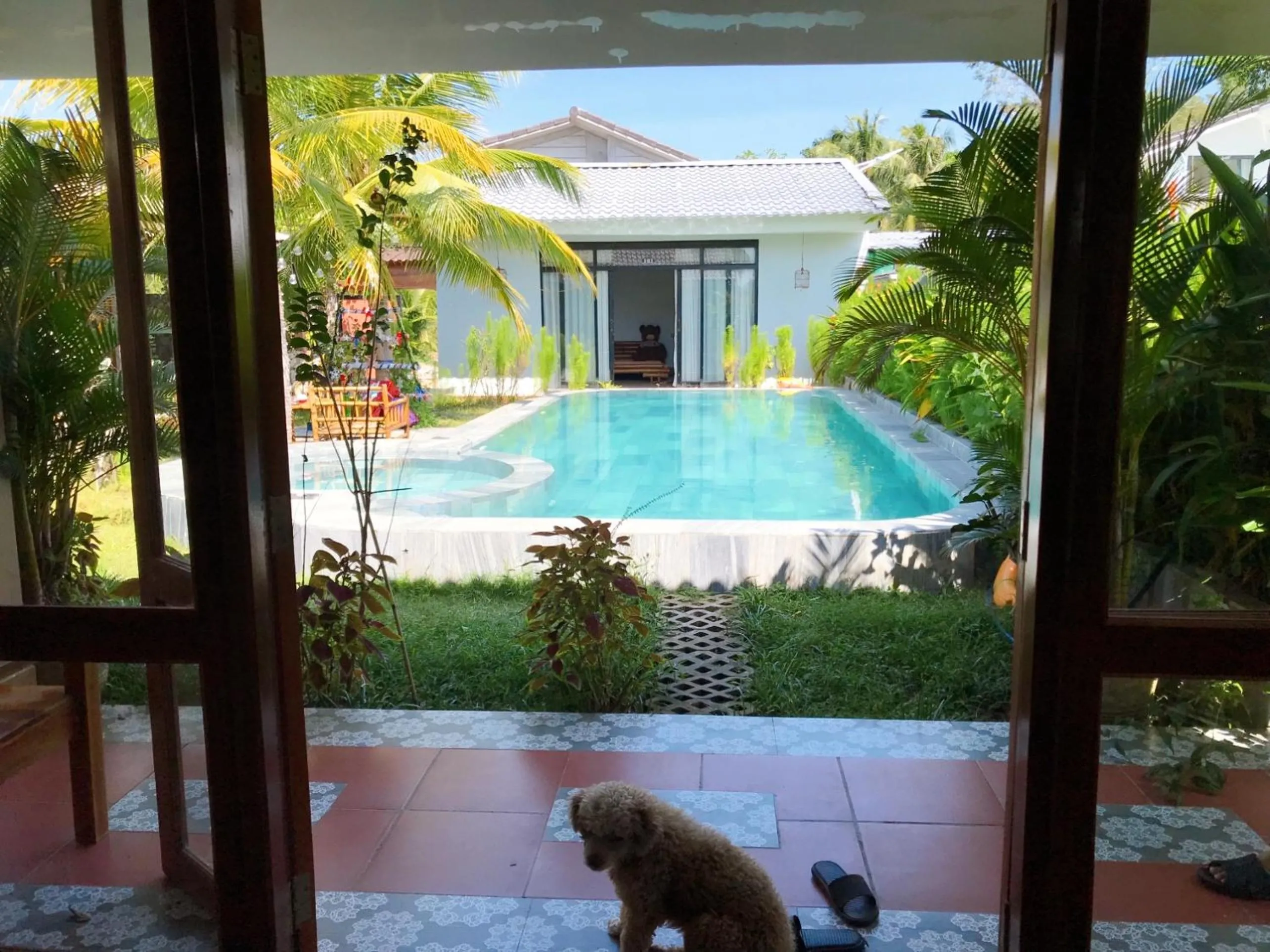 Pool view in Khu Nghỉ Dưỡng Green Bungalow Phu Quoc