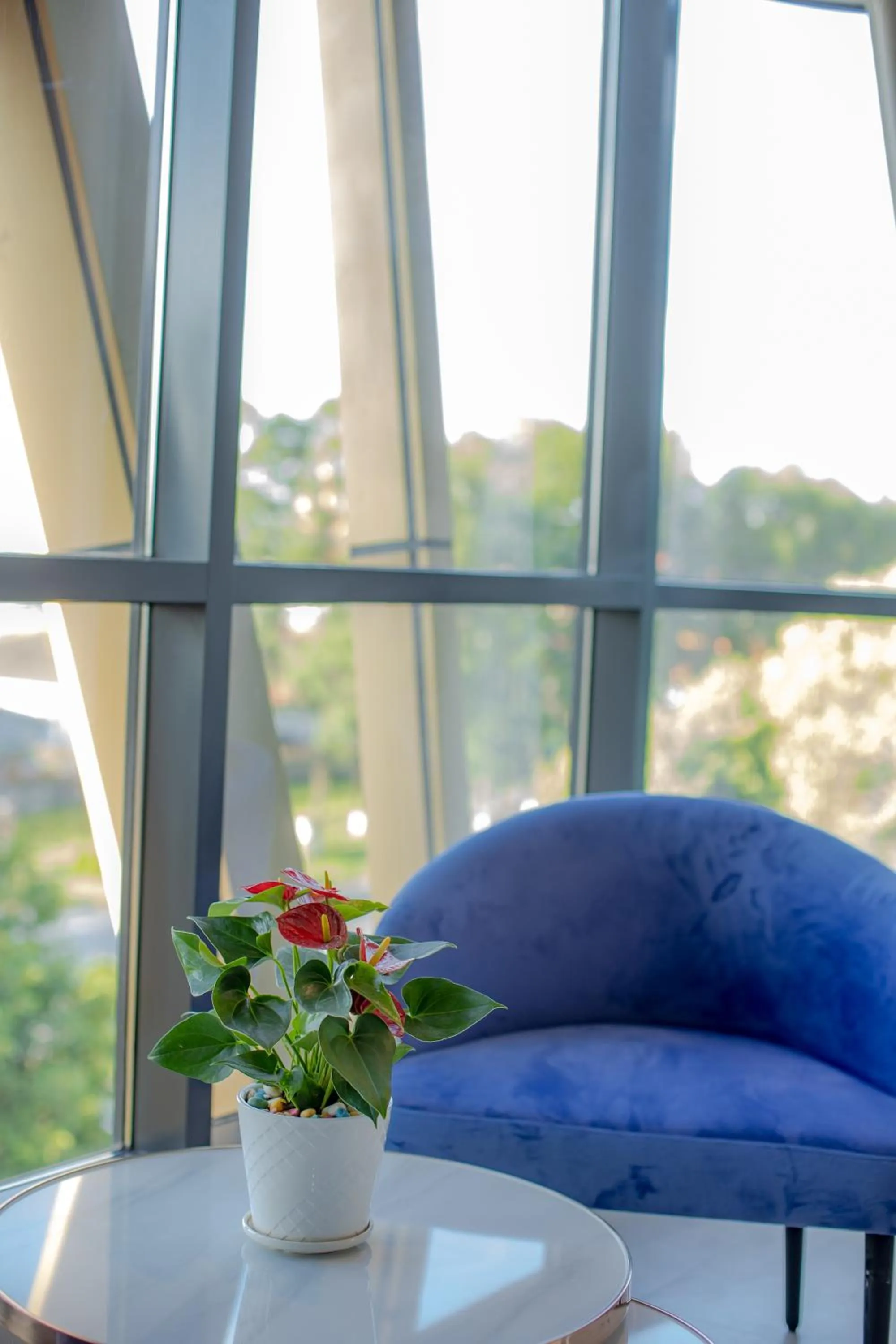Seating area in Seascape Palace Hotel