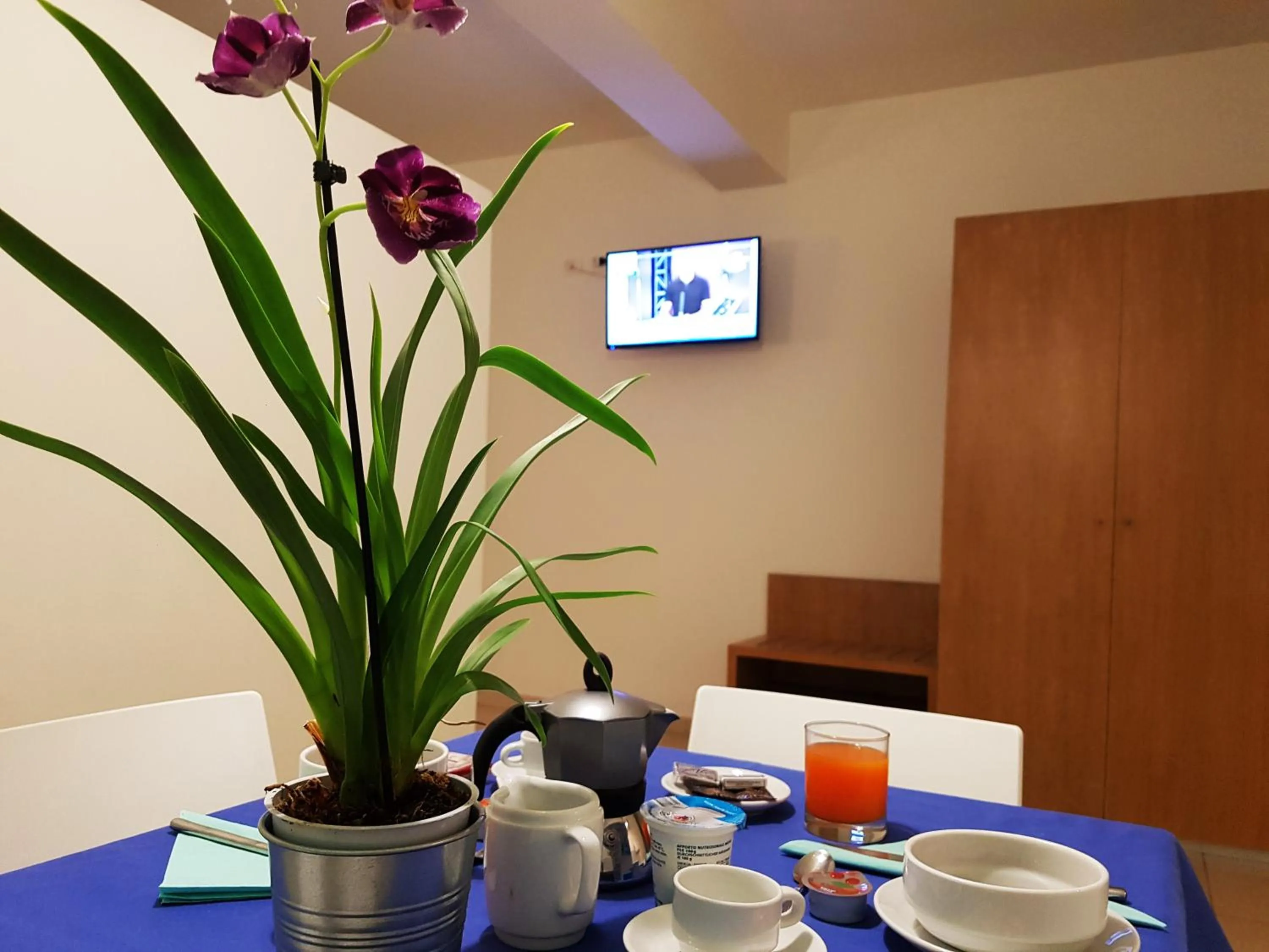 TV and multimedia in Parco Della Rocca