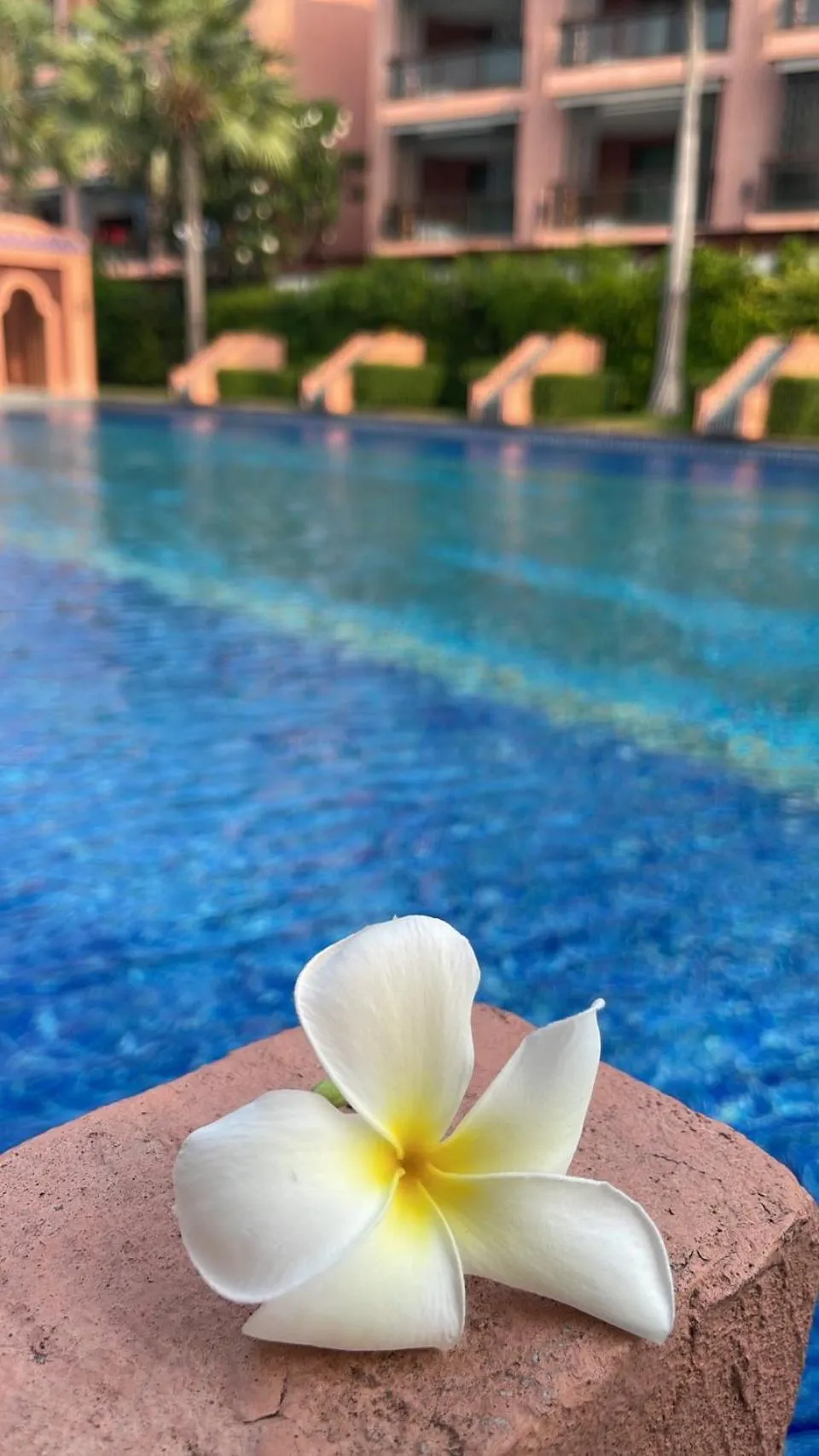 Swimming pool in Baan Marakesh Hua Hin