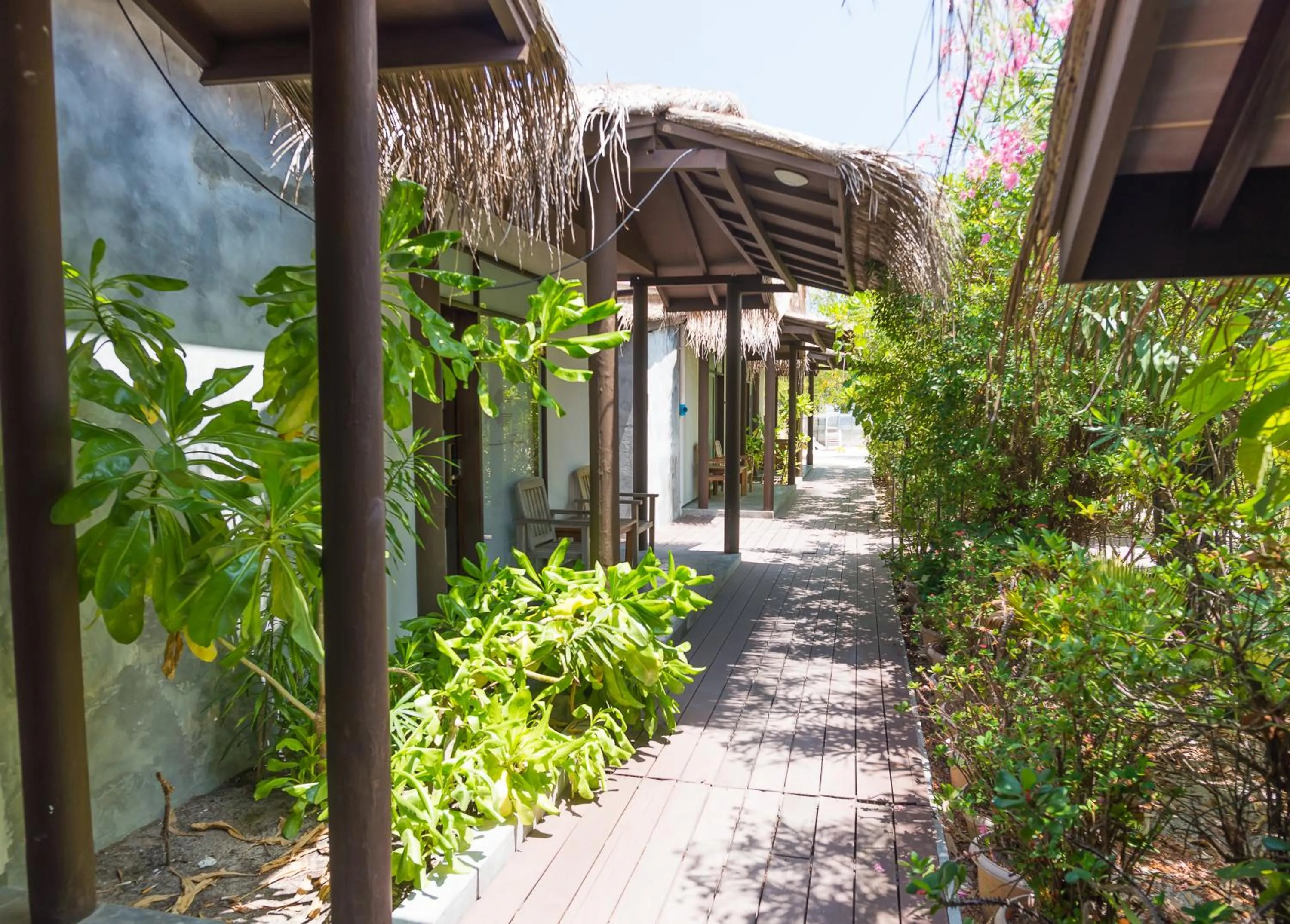 Garden in Premier Beach