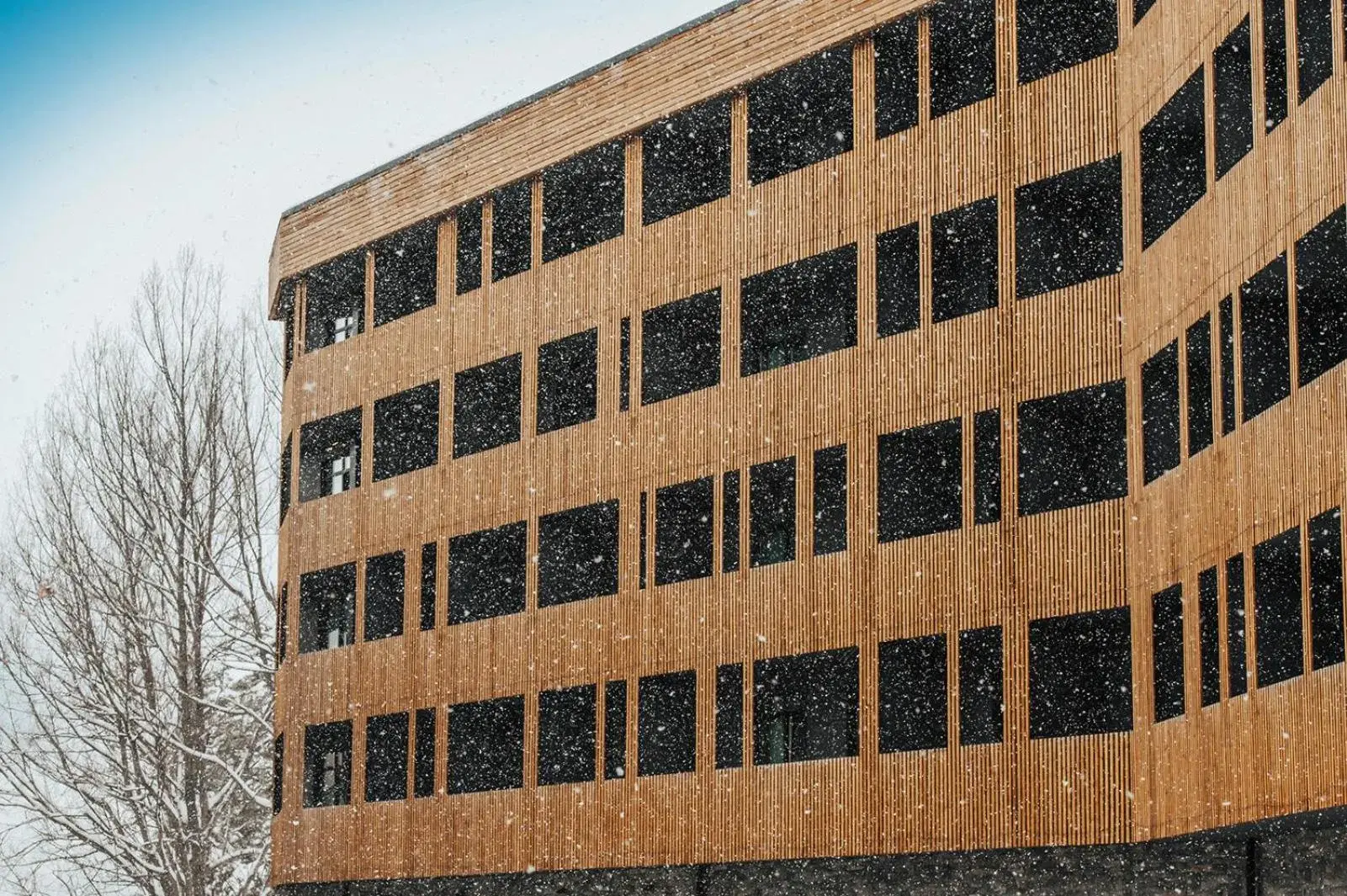 Property building in Dialog Kokhta Property building in Dialog Kokhta