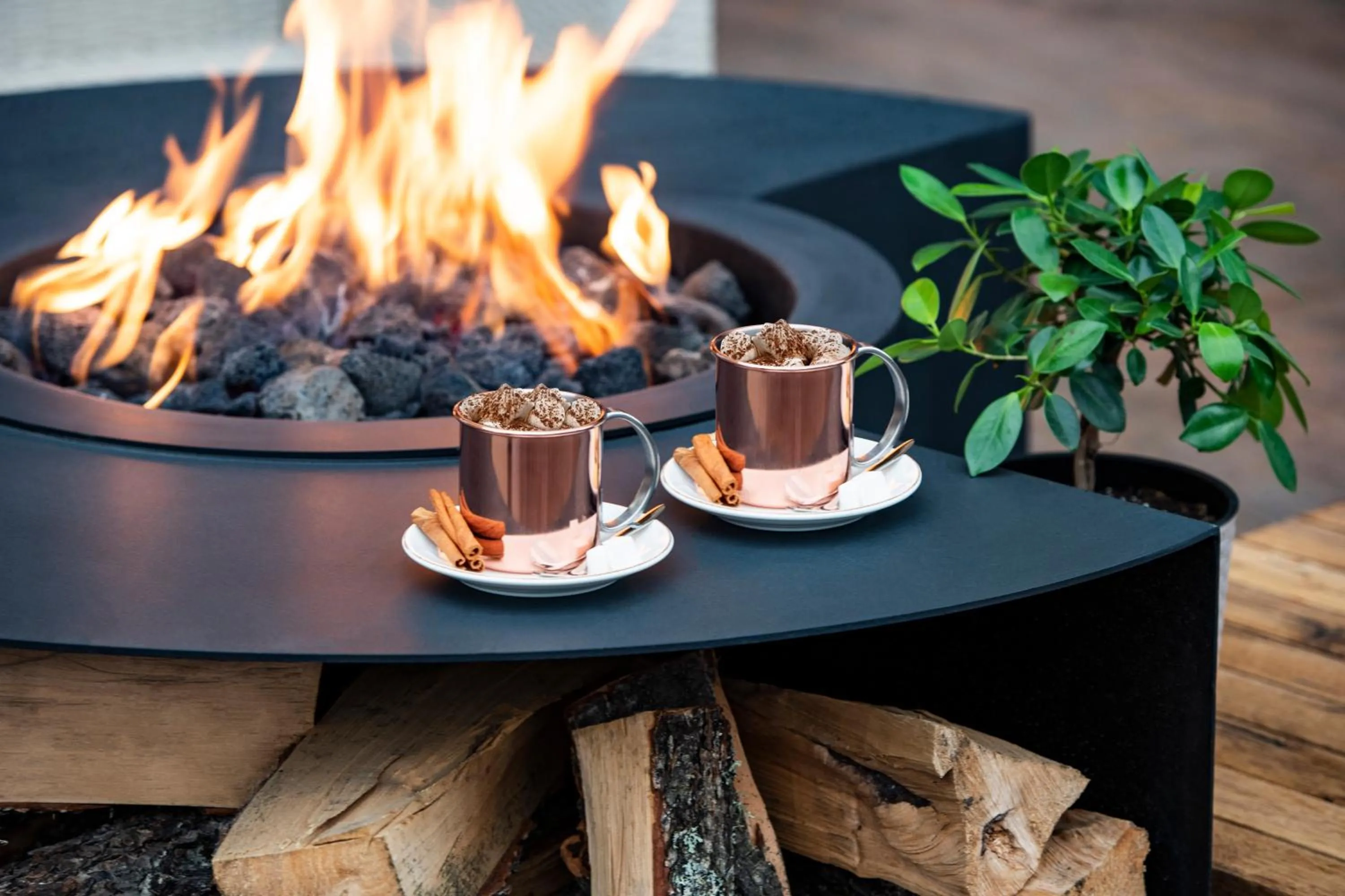 Food and drinks in Dialog Kokhta