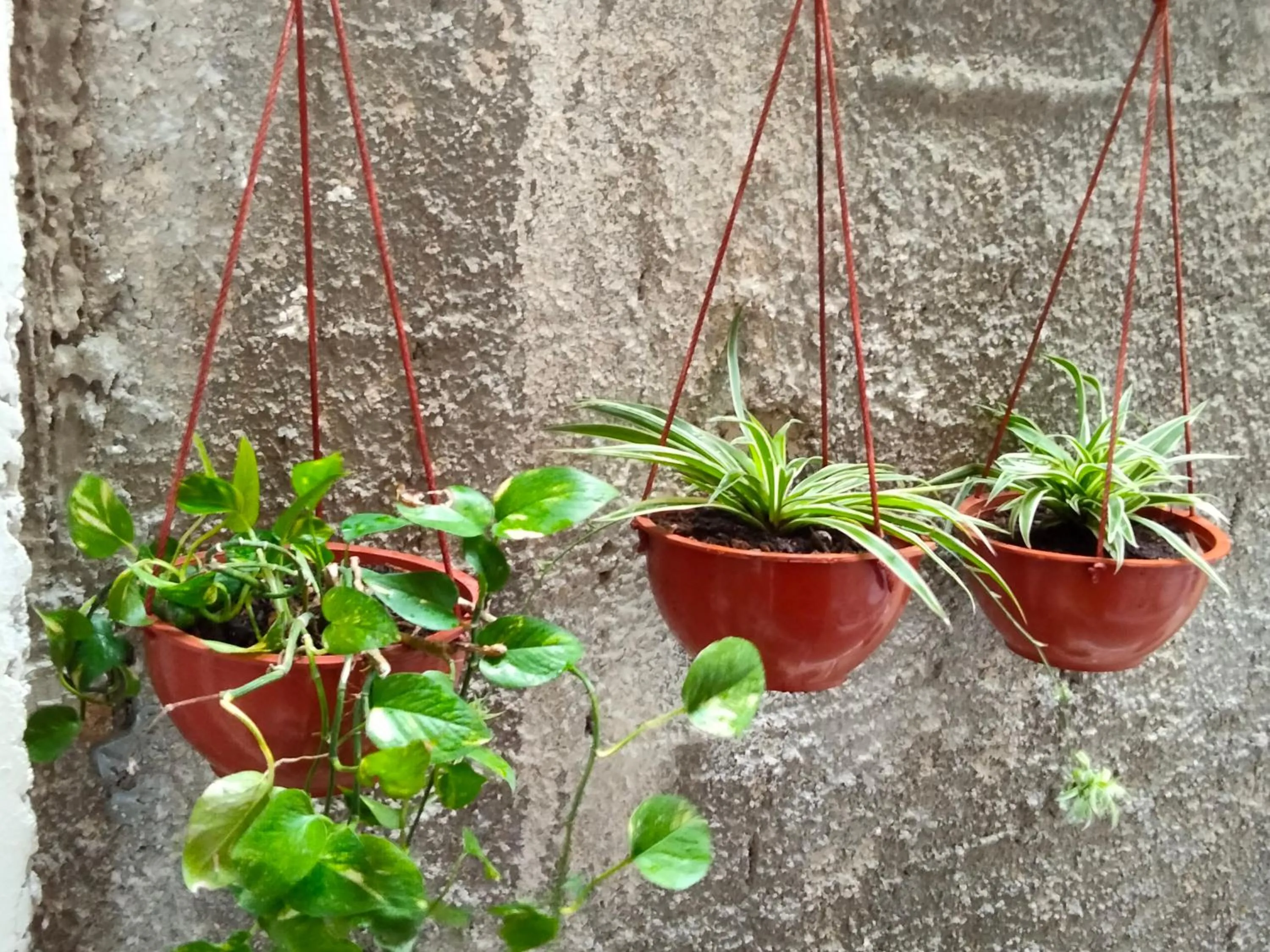 Natural landscape in Casa aloha-Isla Holbox