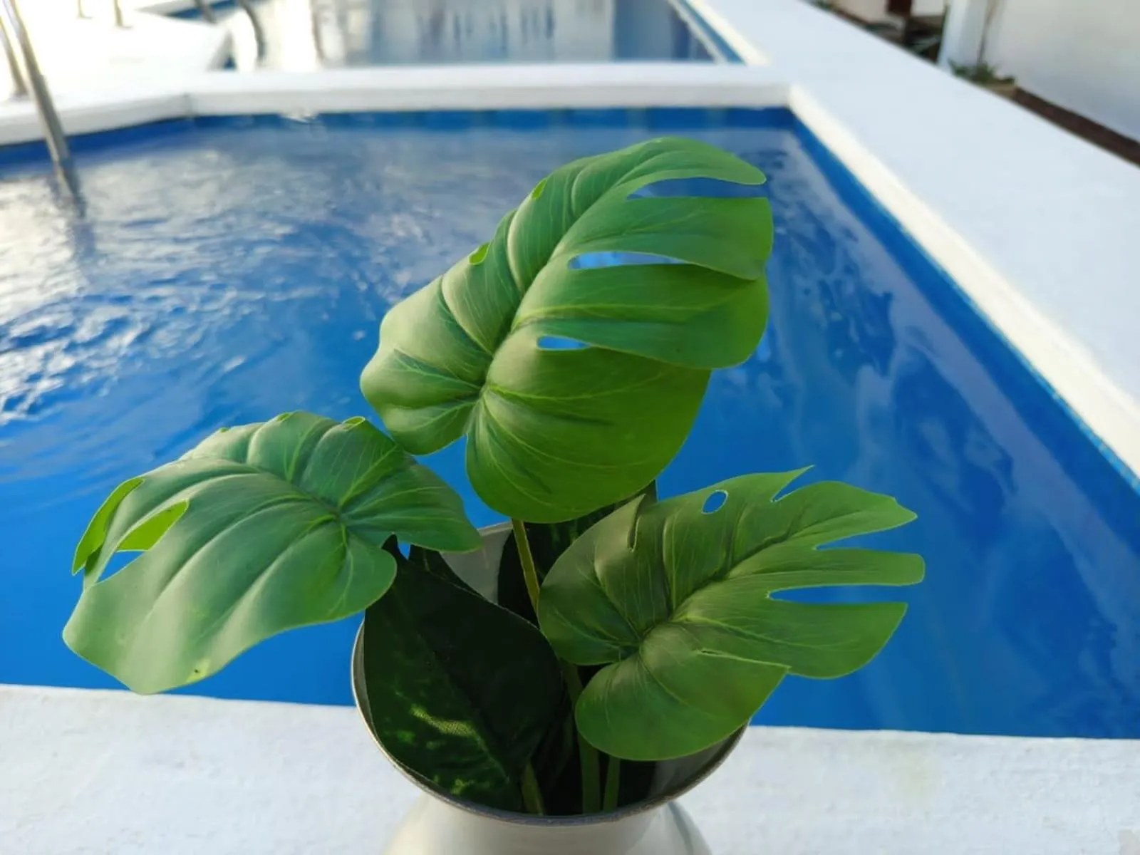 Casa aloha-Isla Holbox