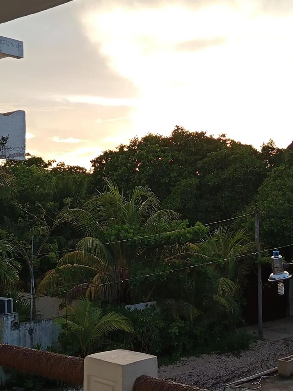 Natural landscape in Casa aloha-Isla Holbox